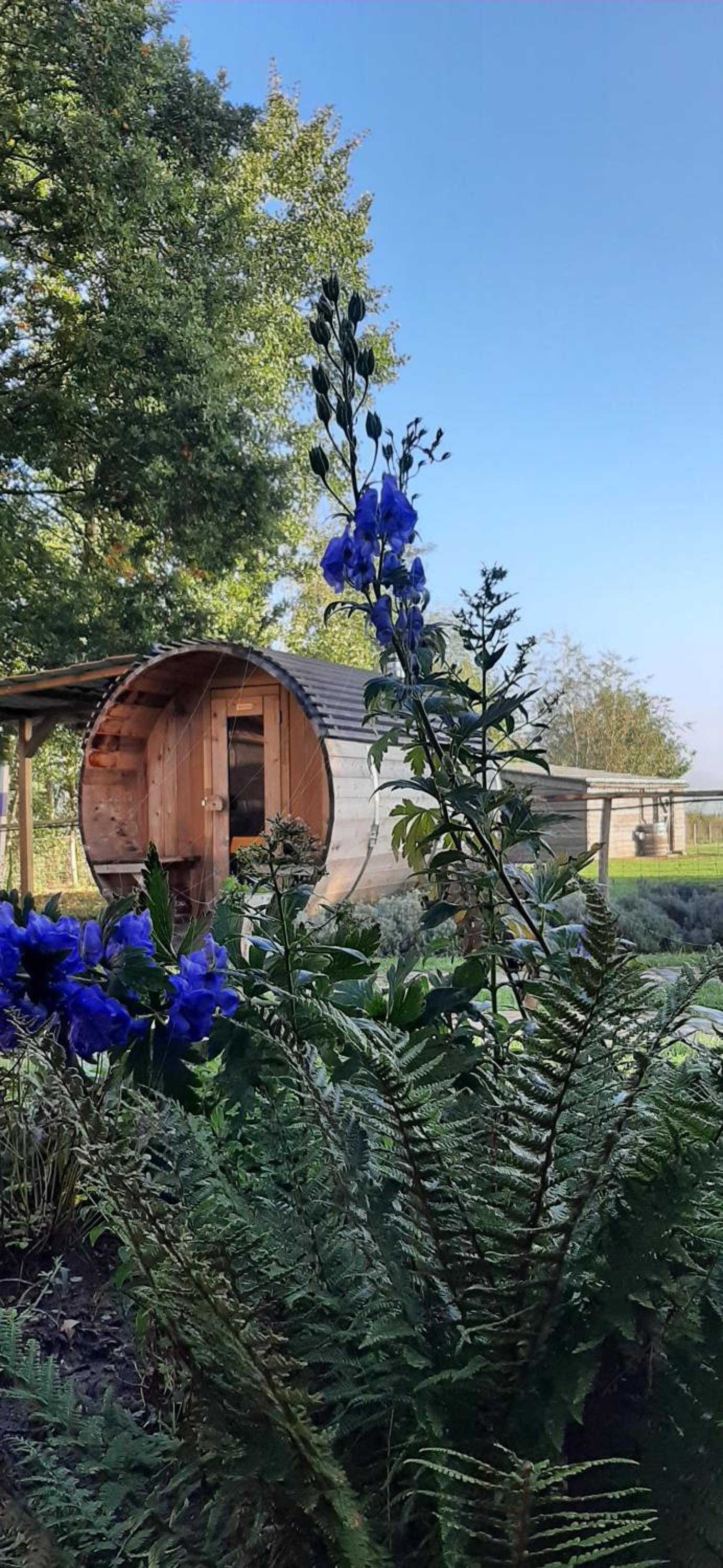 B & B Victors Hof, met zwemvijver en leuke diertjes