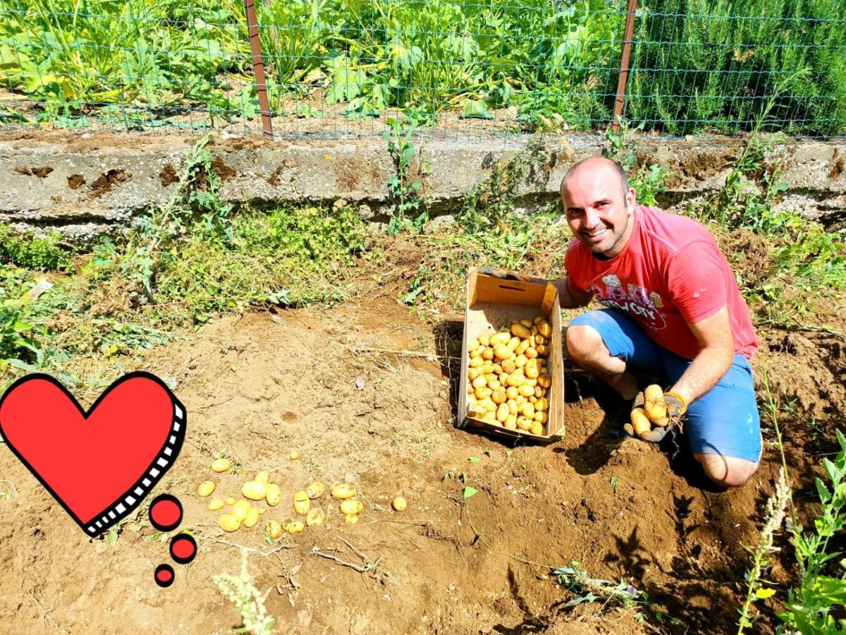 Agriturismo il Pettirosso