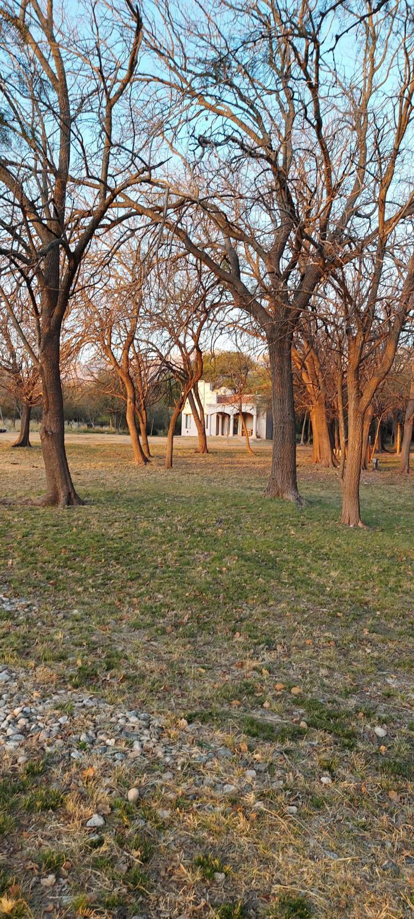 Complejo Yacana, casas de Campo de Categoría