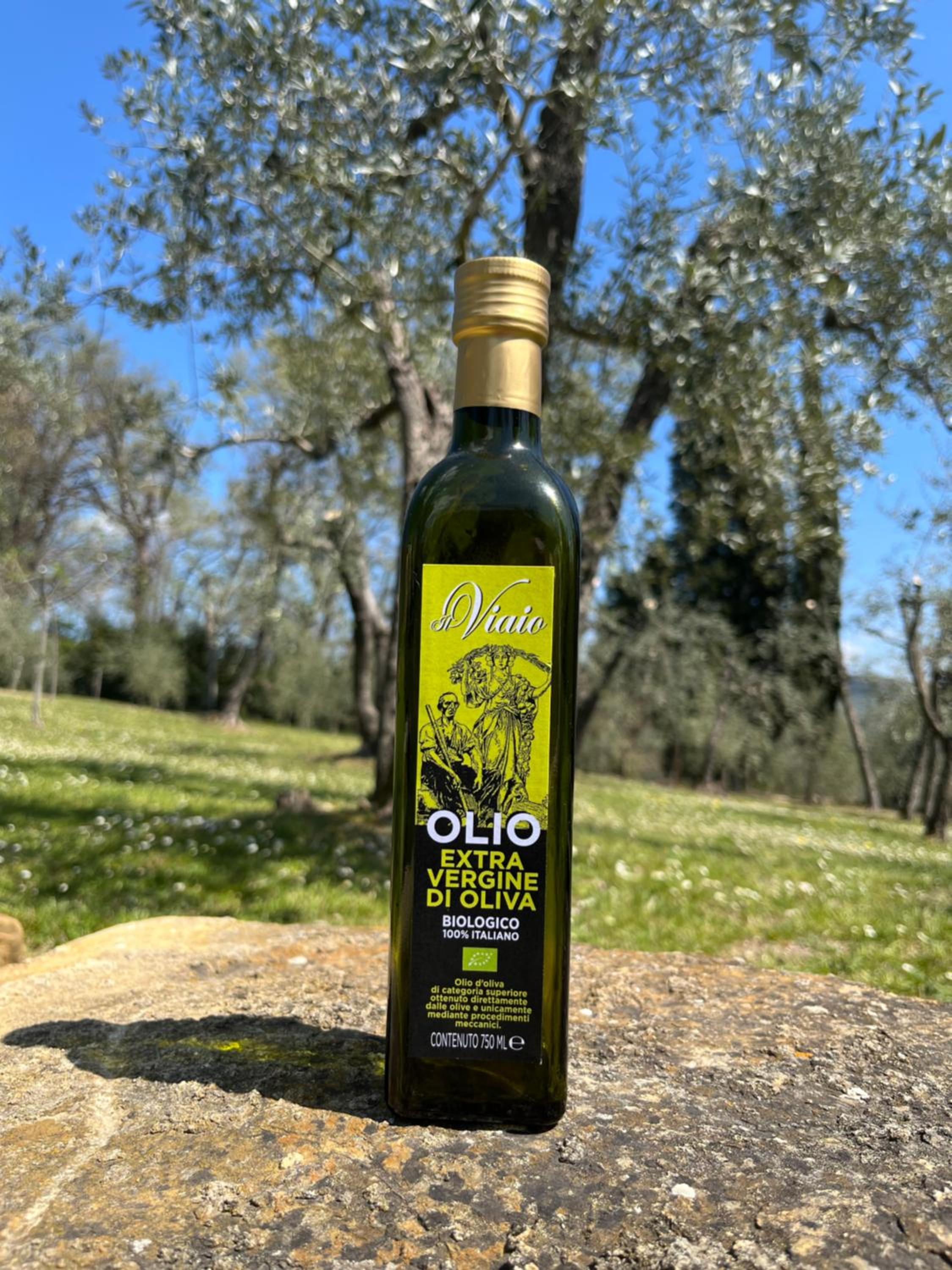 Agriturismo IL VIAIO