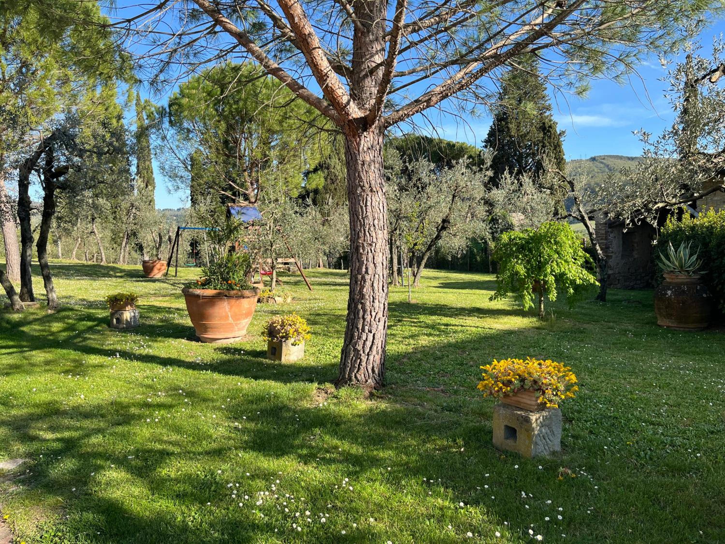 Agriturismo IL VIAIO