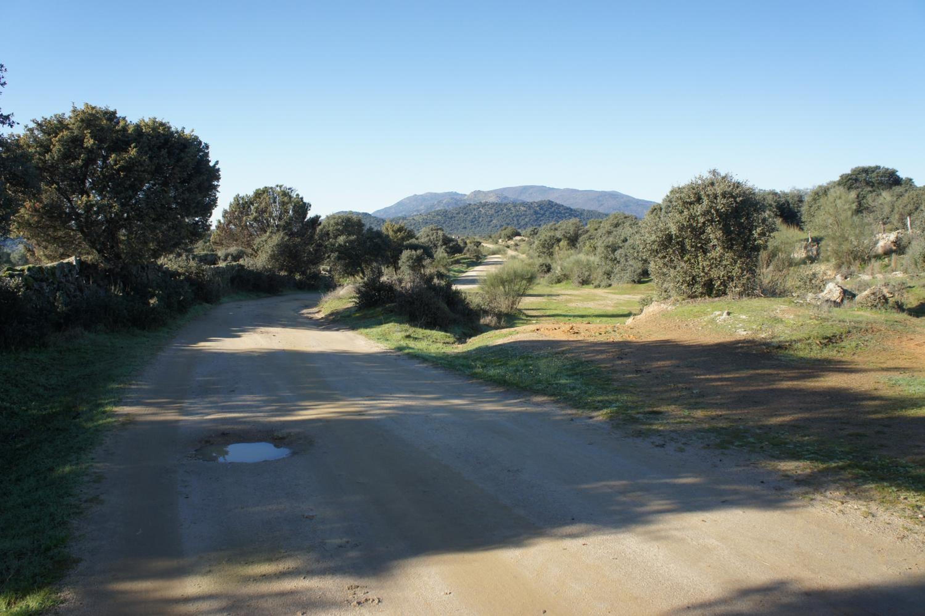 Photo 43