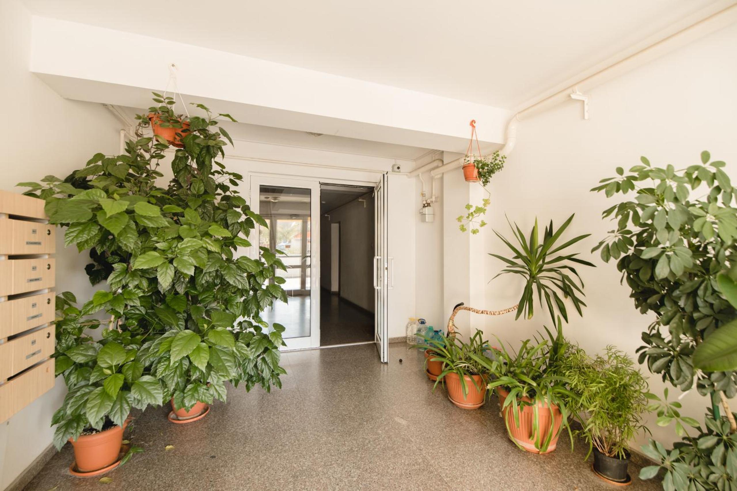 Oltului Apartment