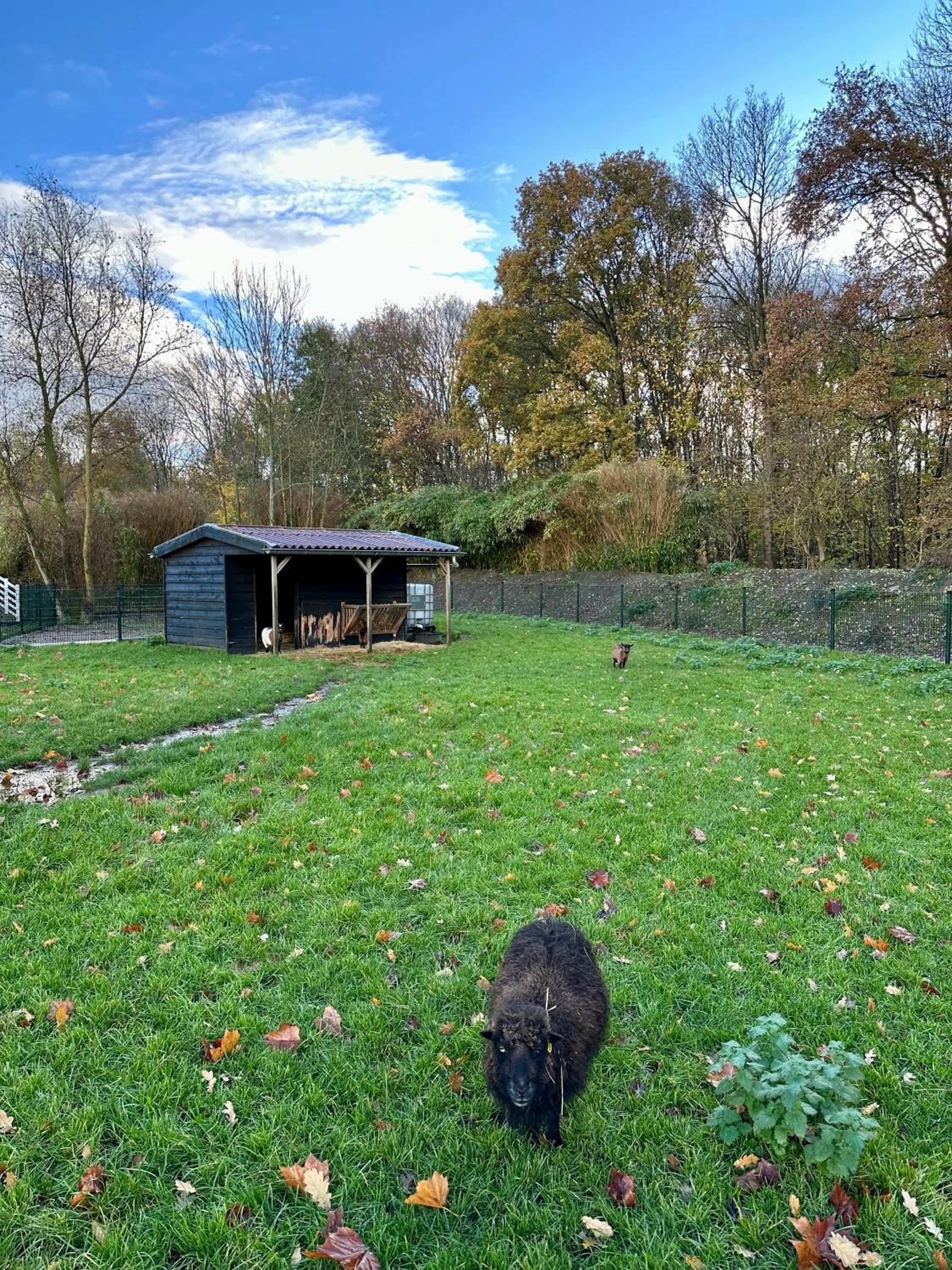 Chalet Sirun Strandcamping Valkenisse, Biggekerke
