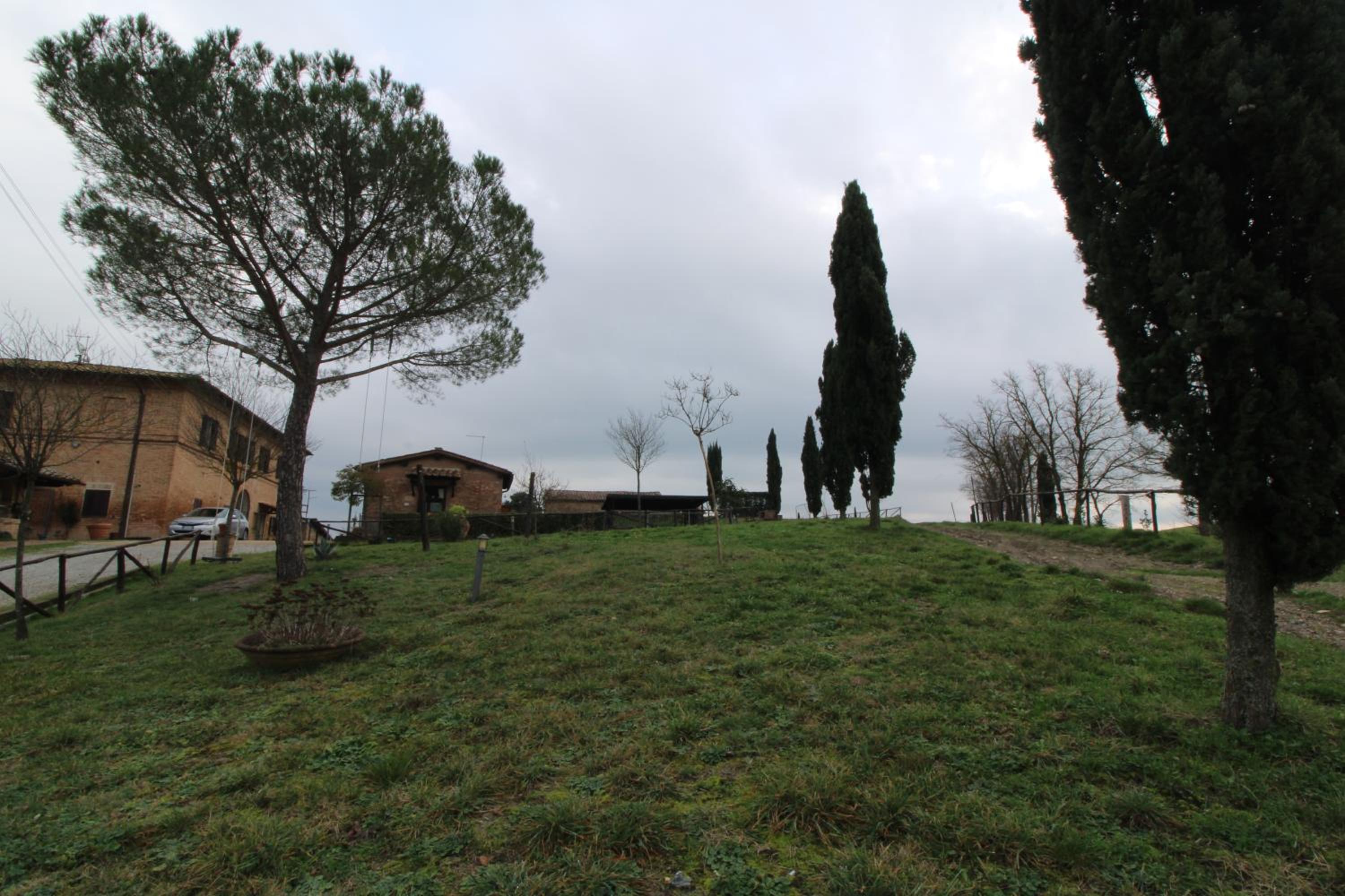 Suite la Rosa