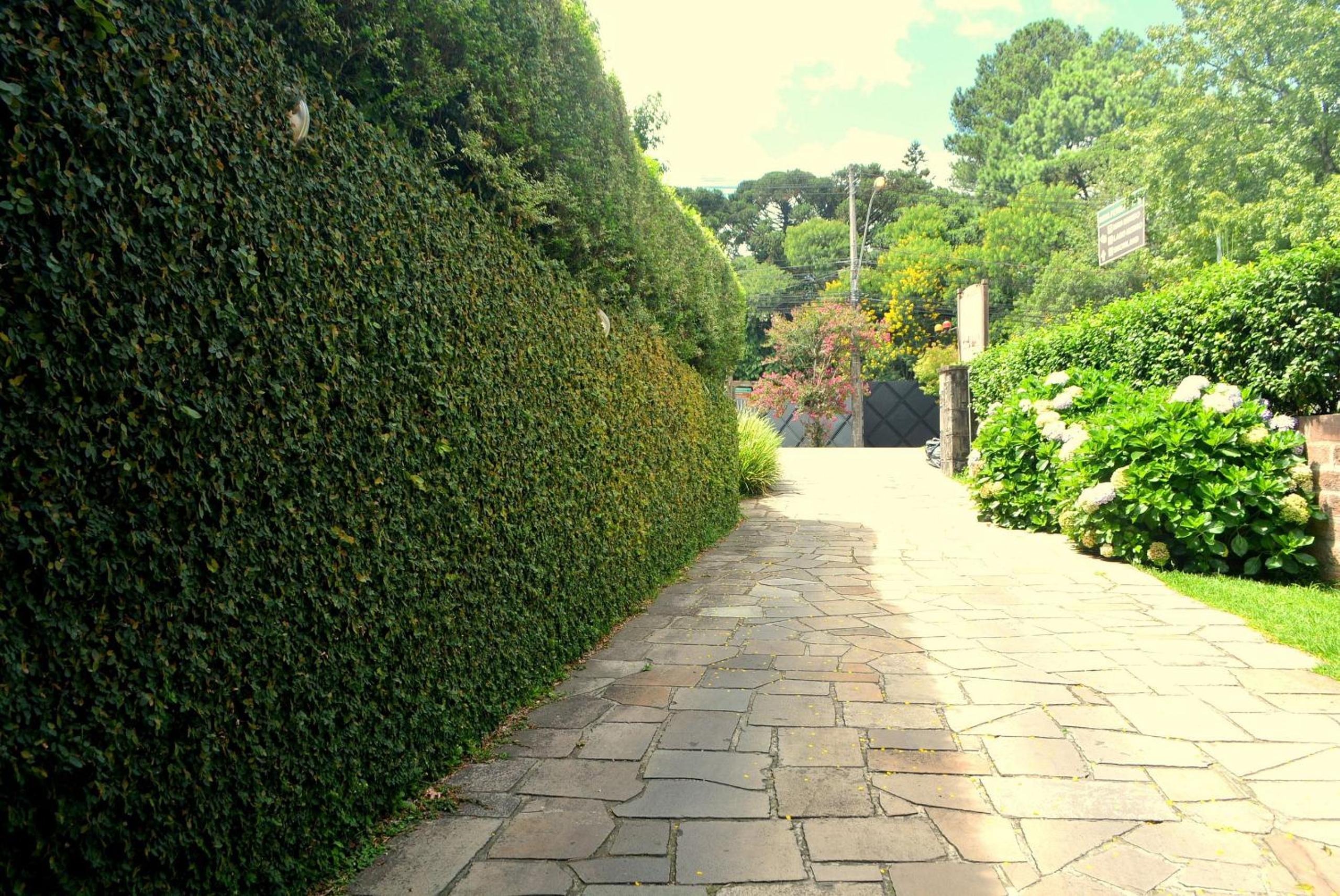 Photo 38