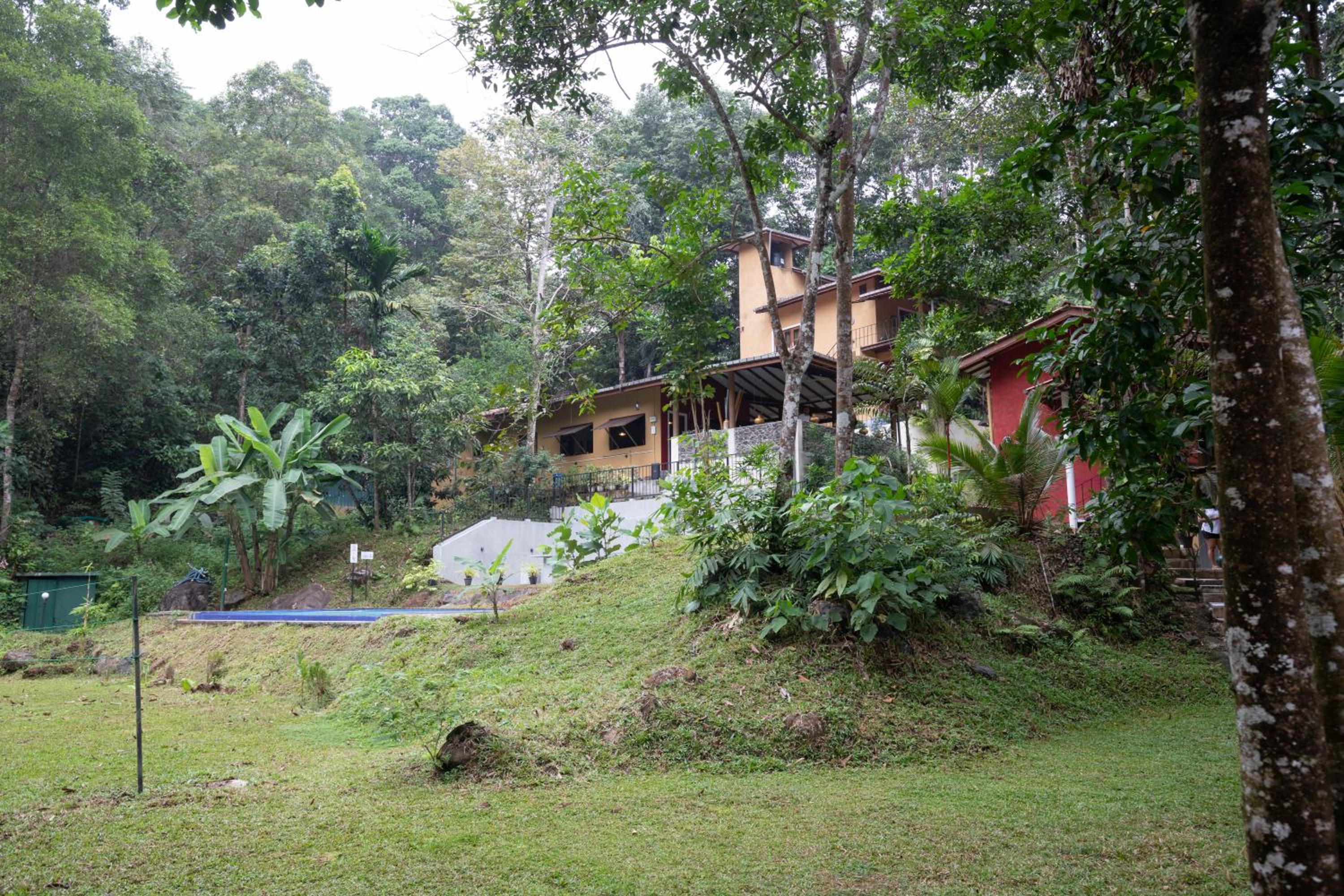 Photo 48