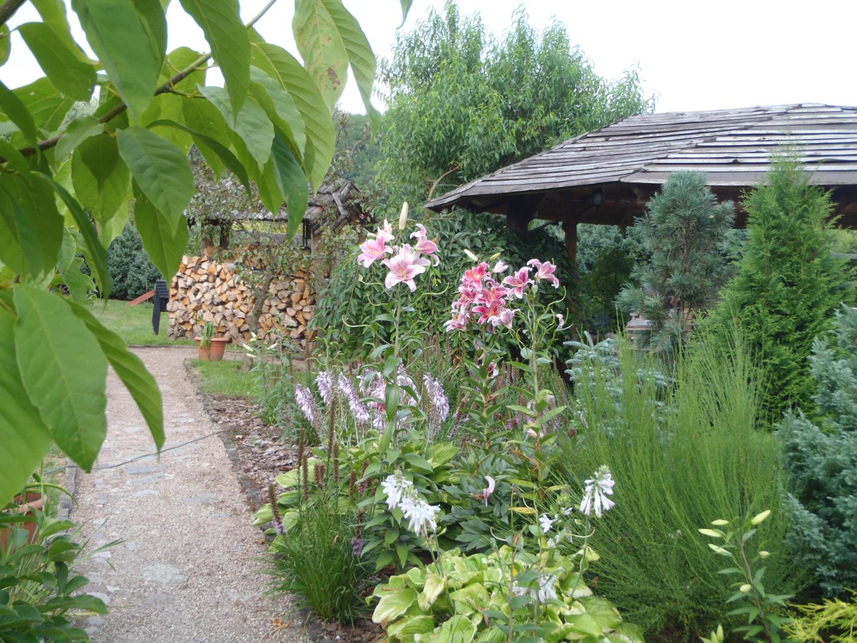 Photo 5