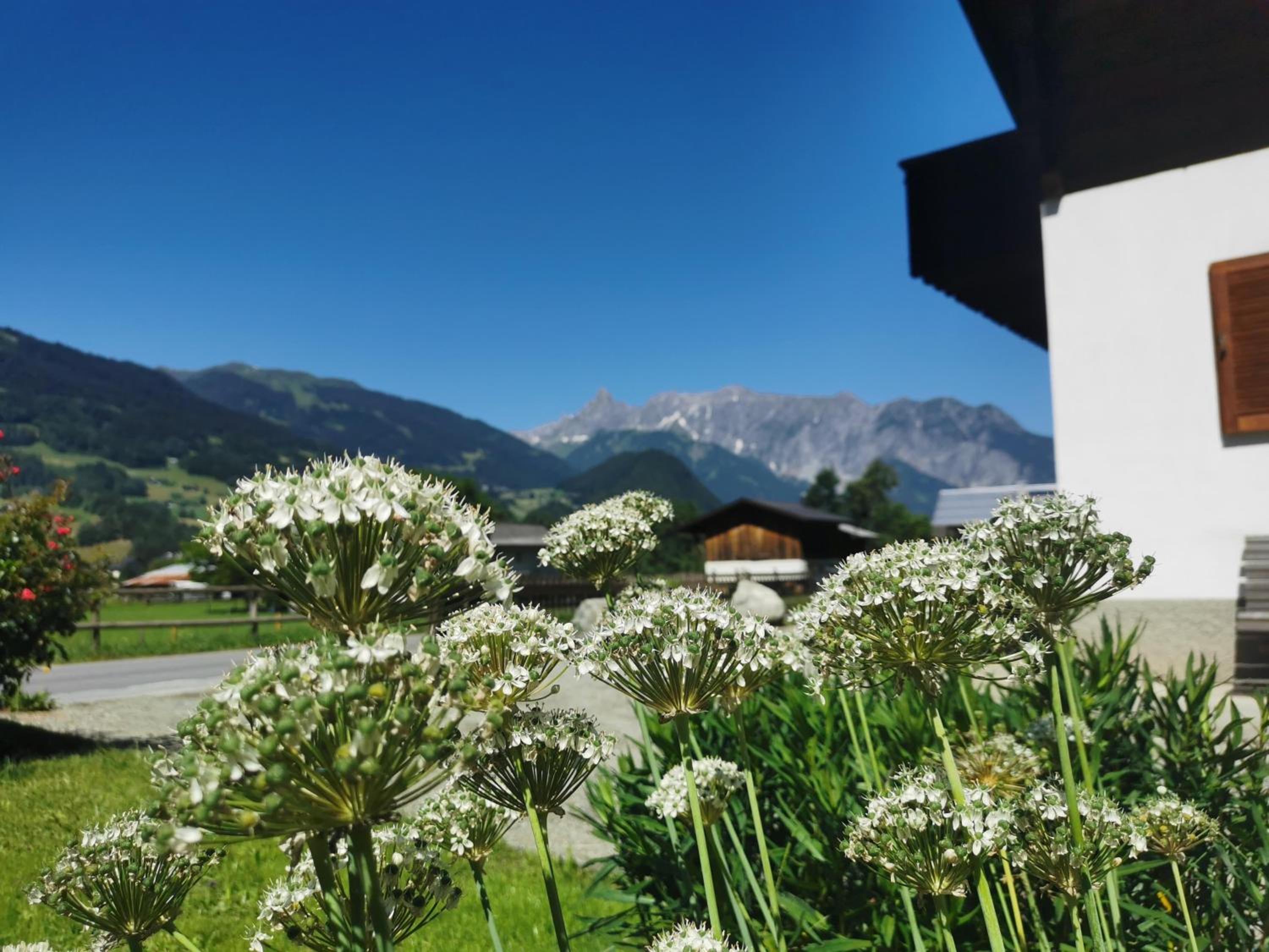 Haus Buachwald