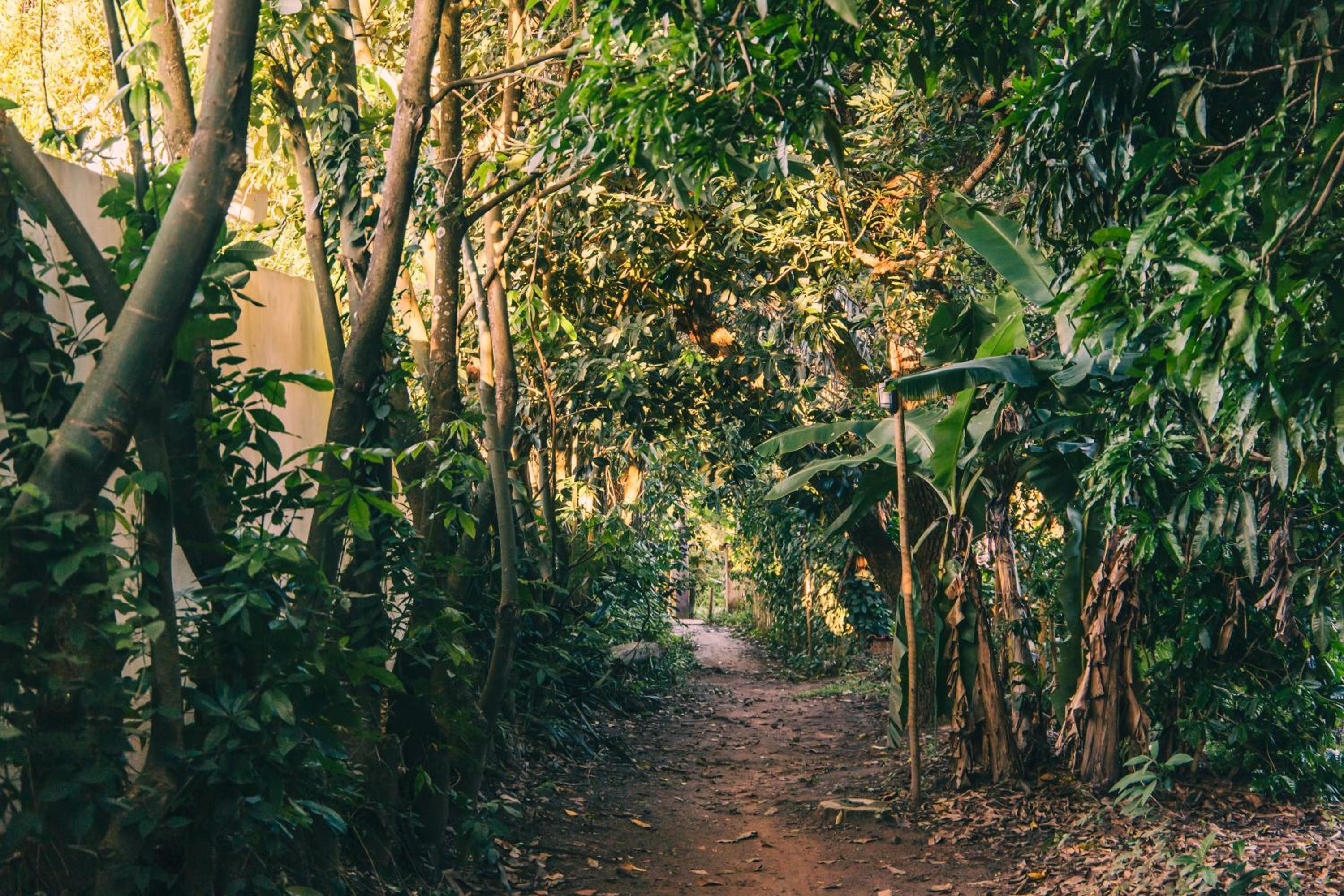 Recanto Pitanga