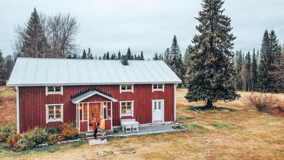 Taiga Forest Lodge view 2