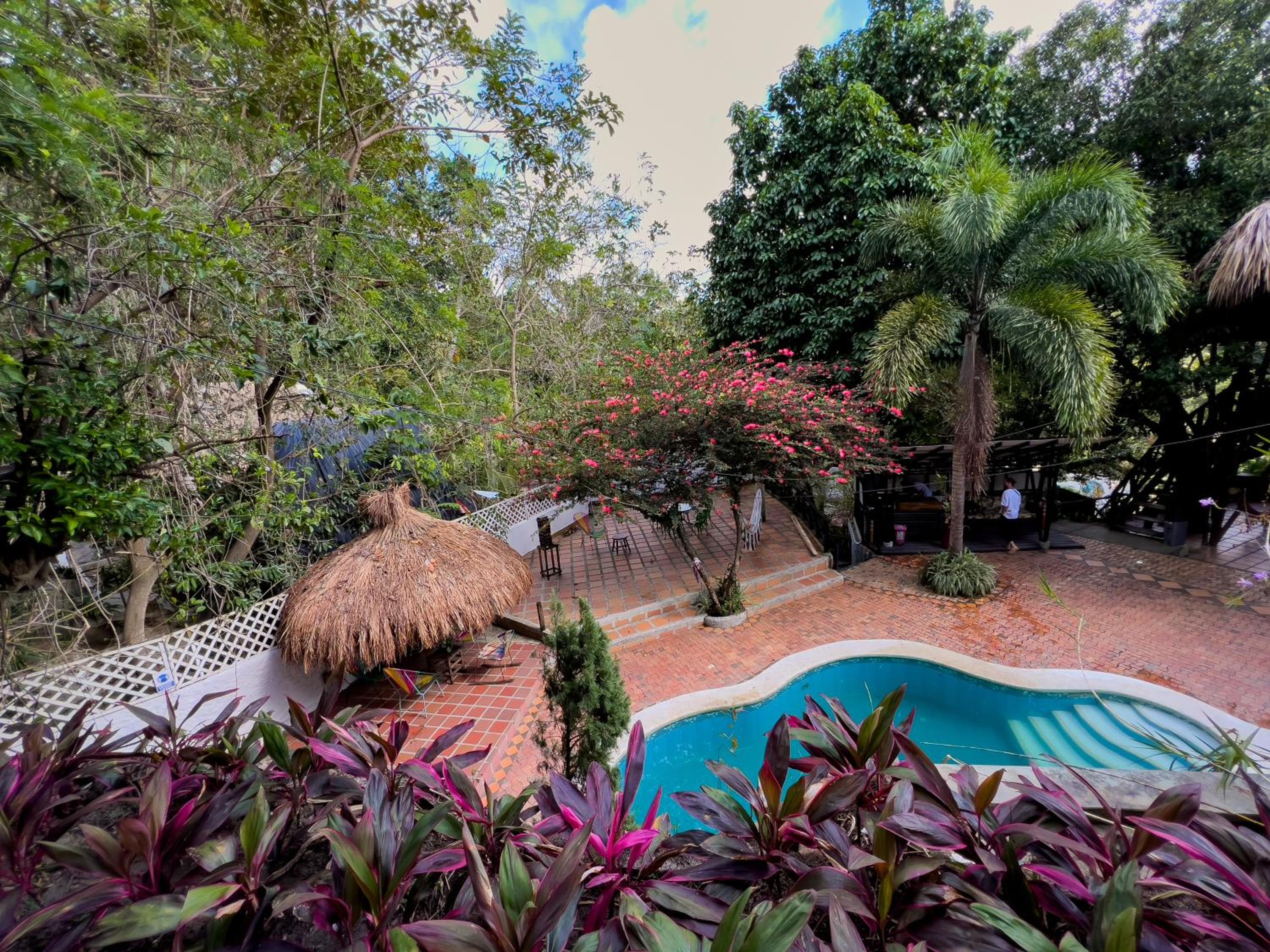Lodge Cacao