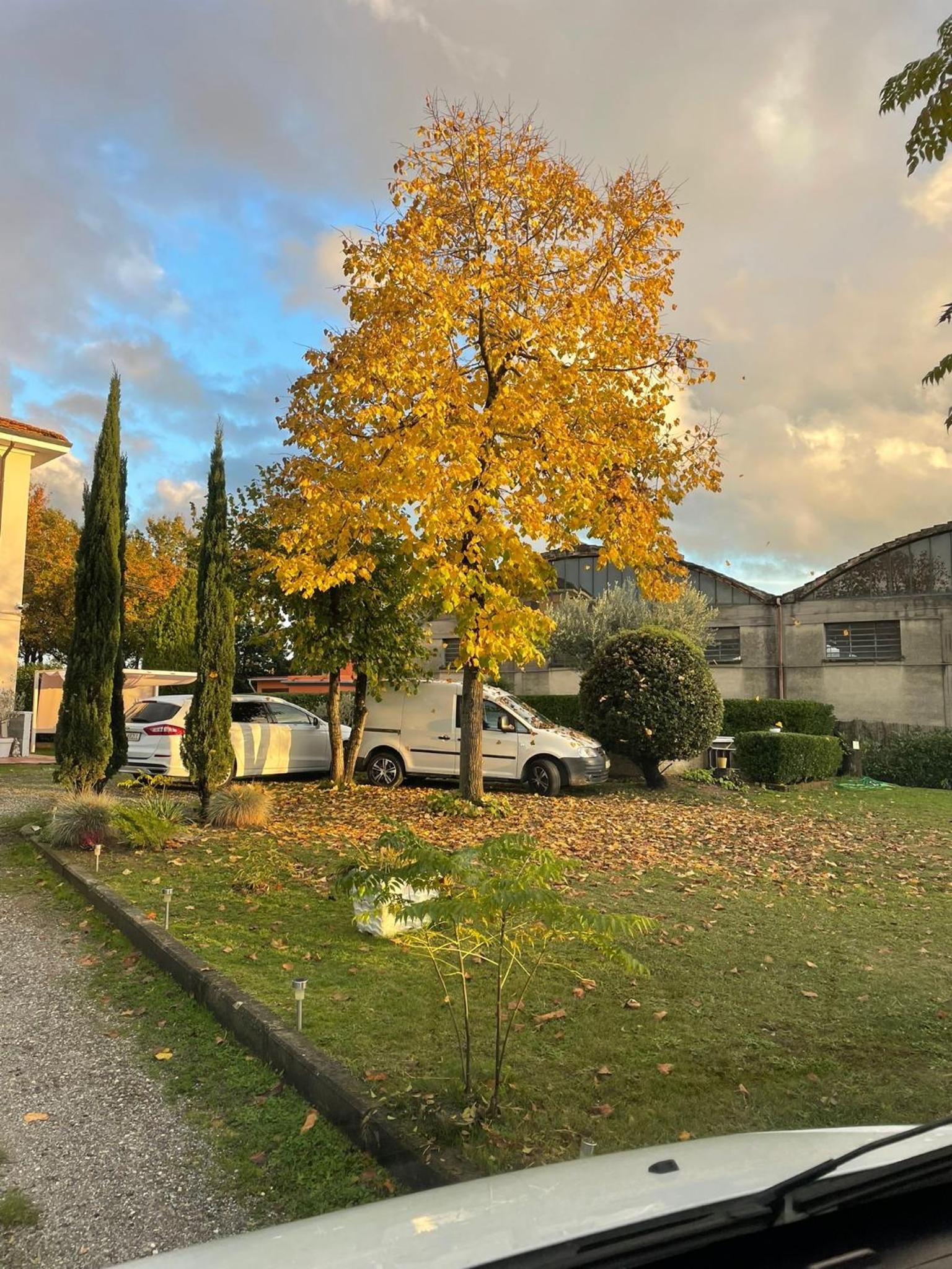 Photo 25