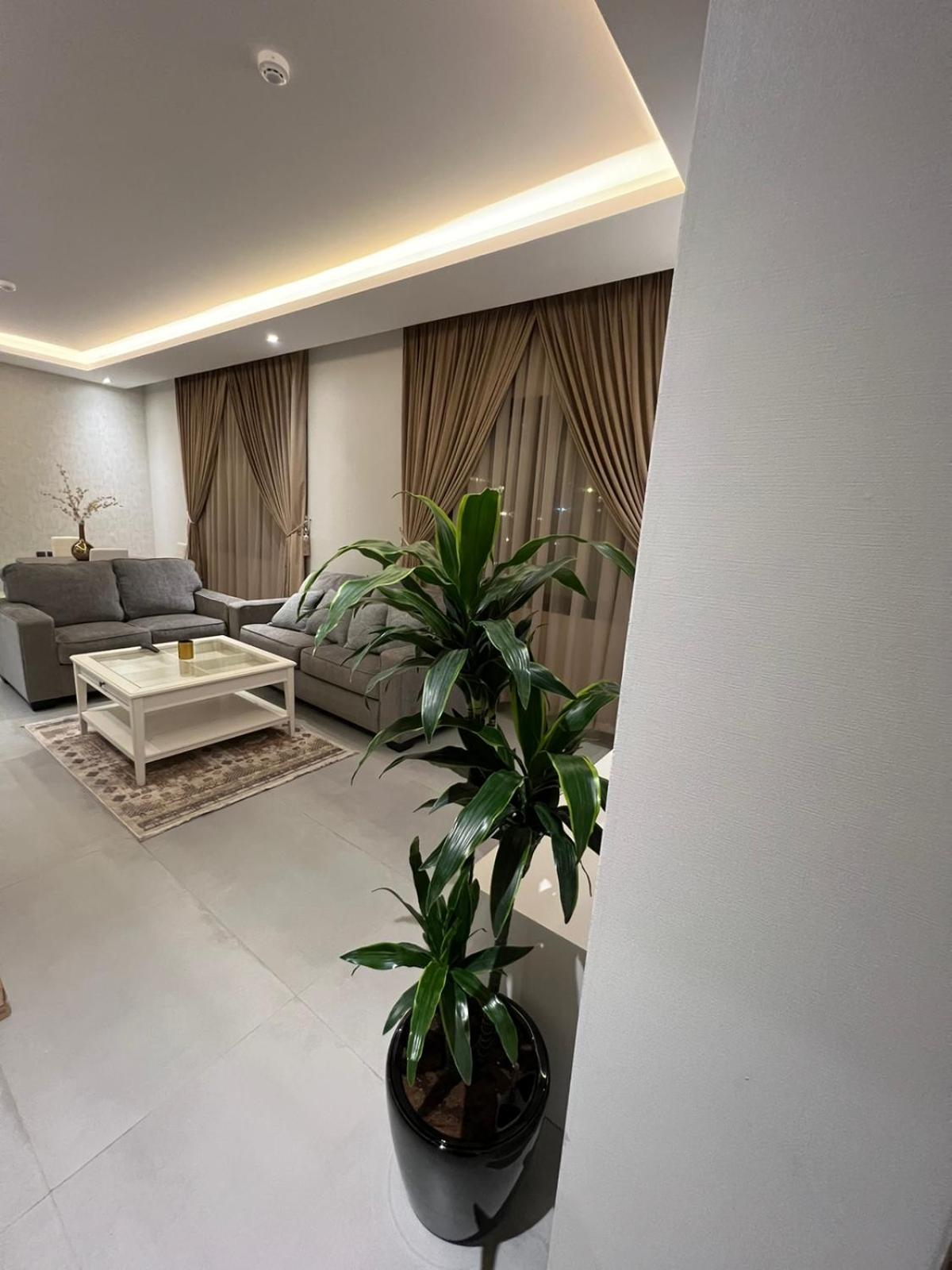 Amazing apartment