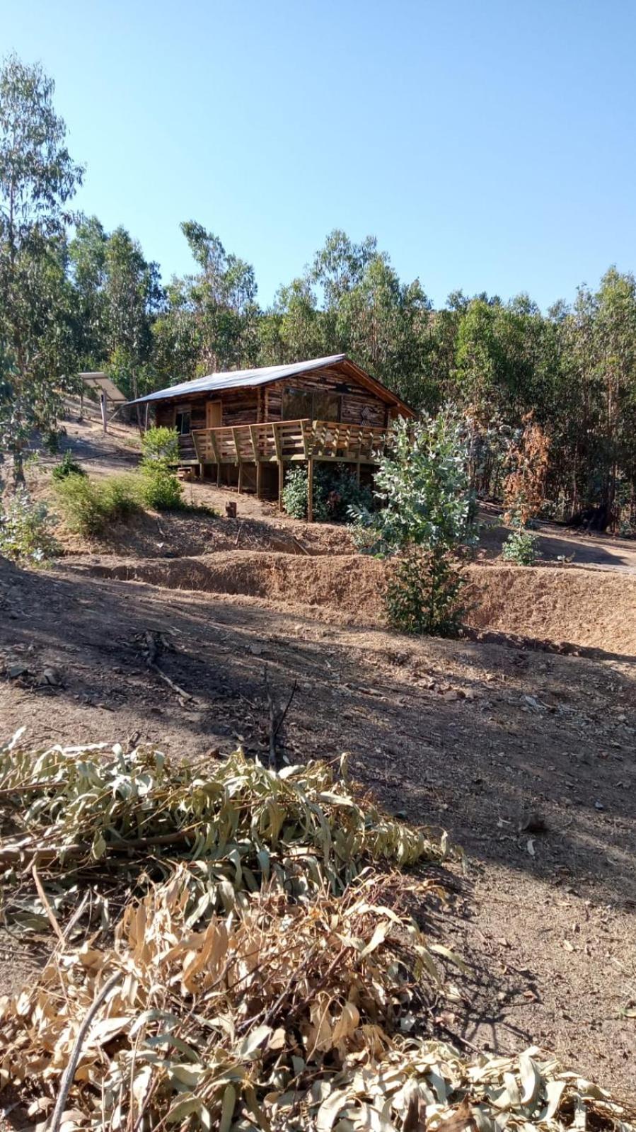 Estancia Don Domingo