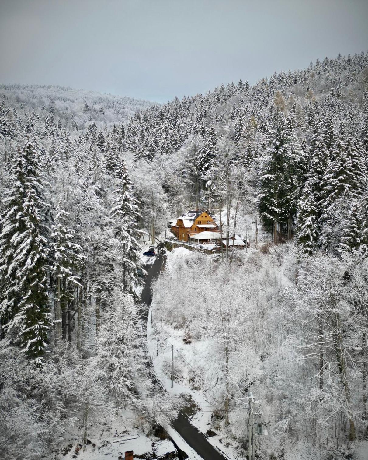 Pensjonat Alpejski Dwór view 4
