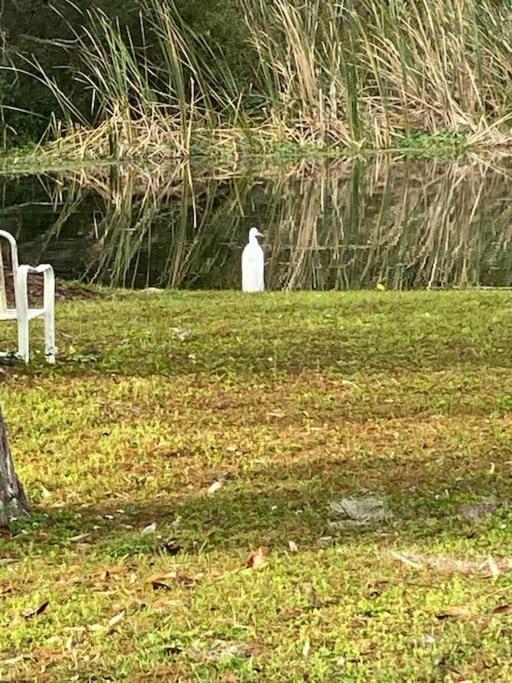 Professor Rousseau's Manatee Bay view 5
