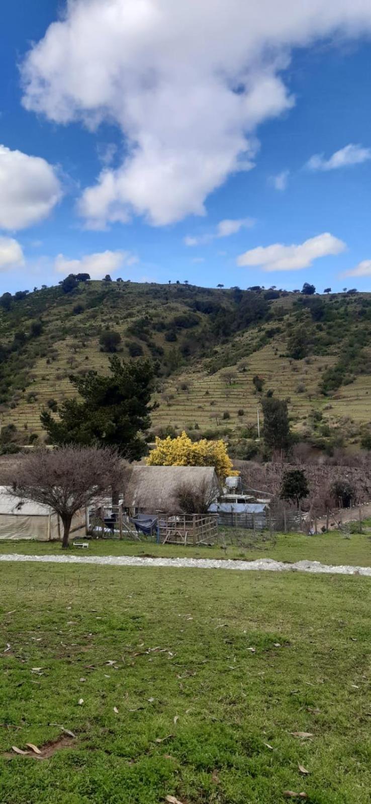 Estancia Don Domingo