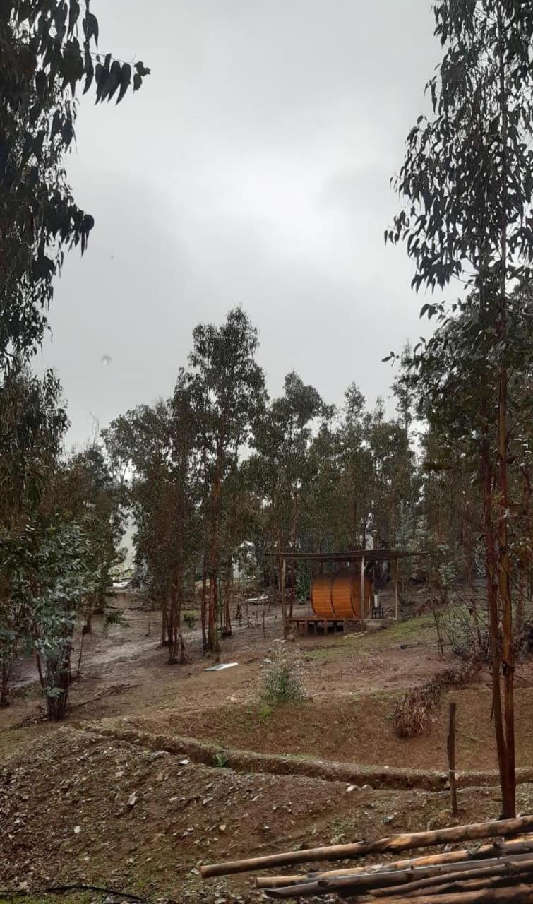 Estancia Don Domingo