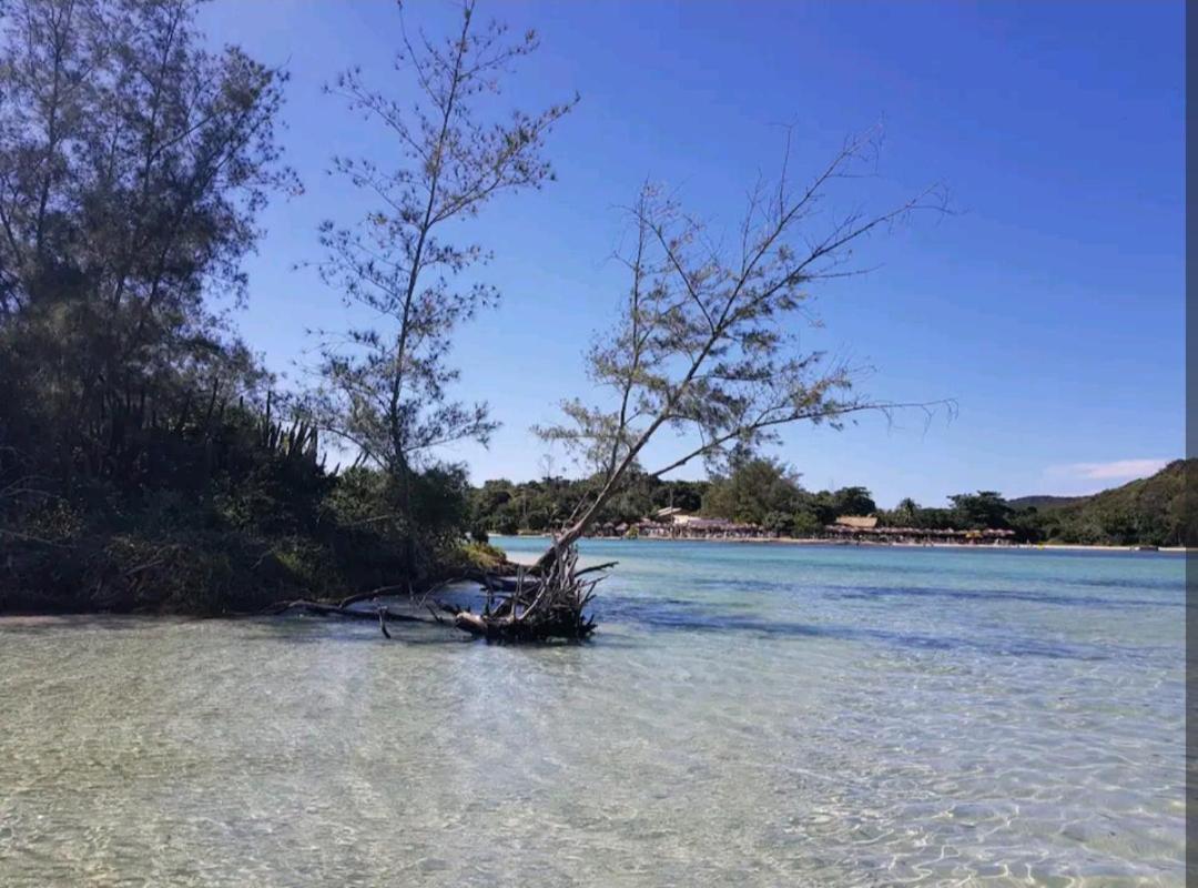 Golden Lake - Alferino