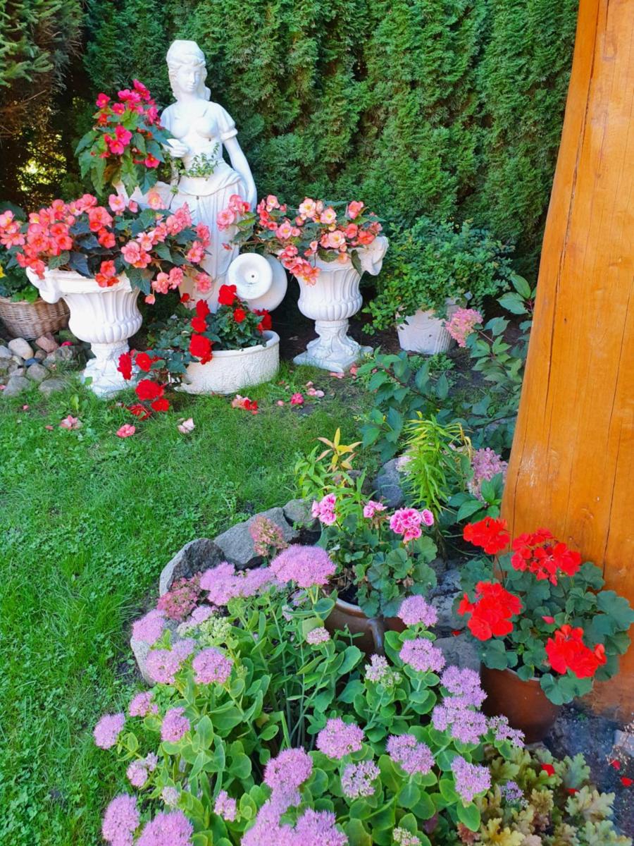 Photo 40