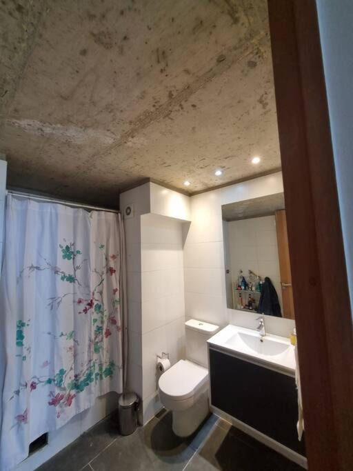 Loft Cerro Alegre Valparaíso