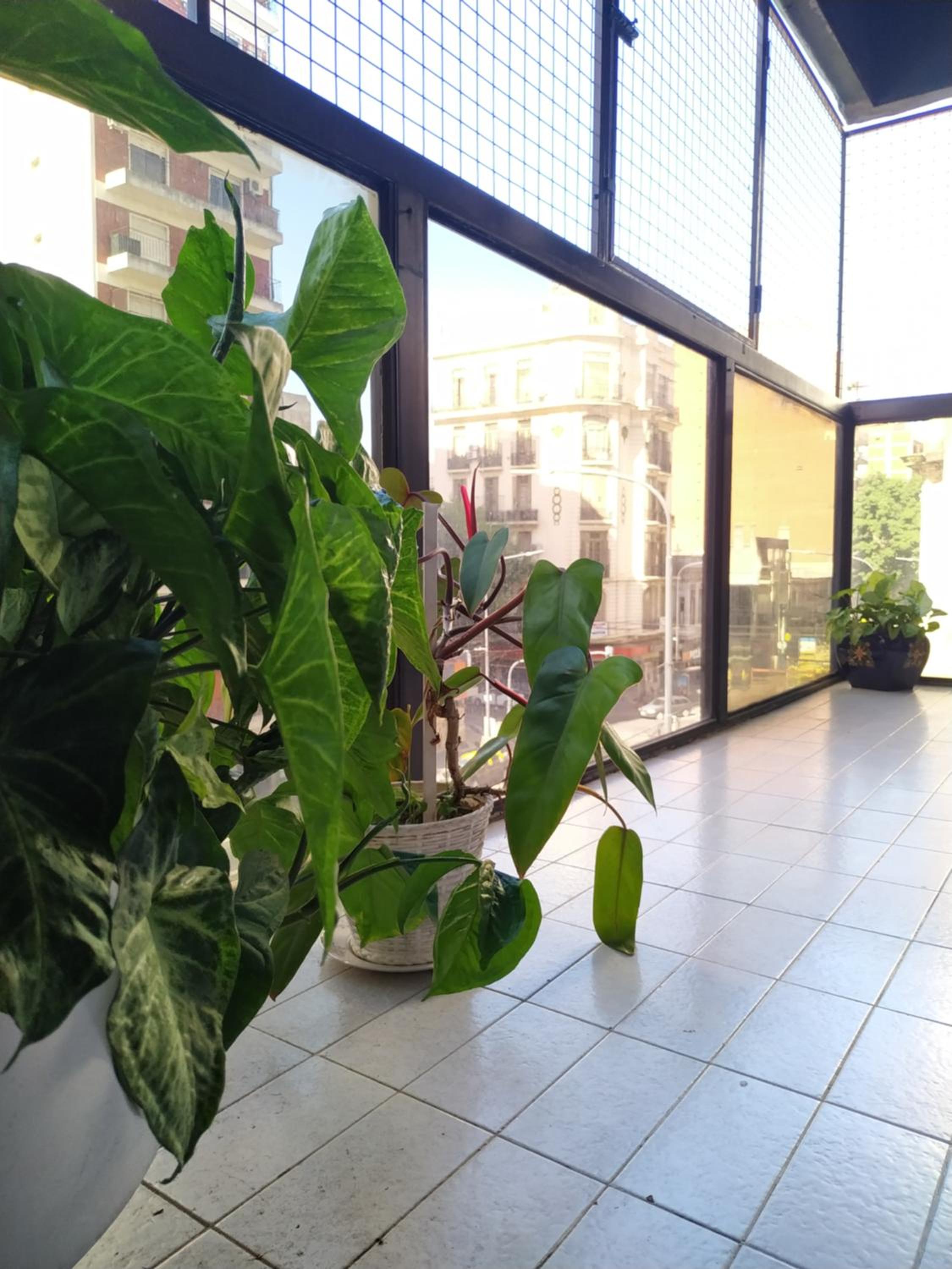 Hermoso Departamento para 6 Personas . Excelente ubicacion