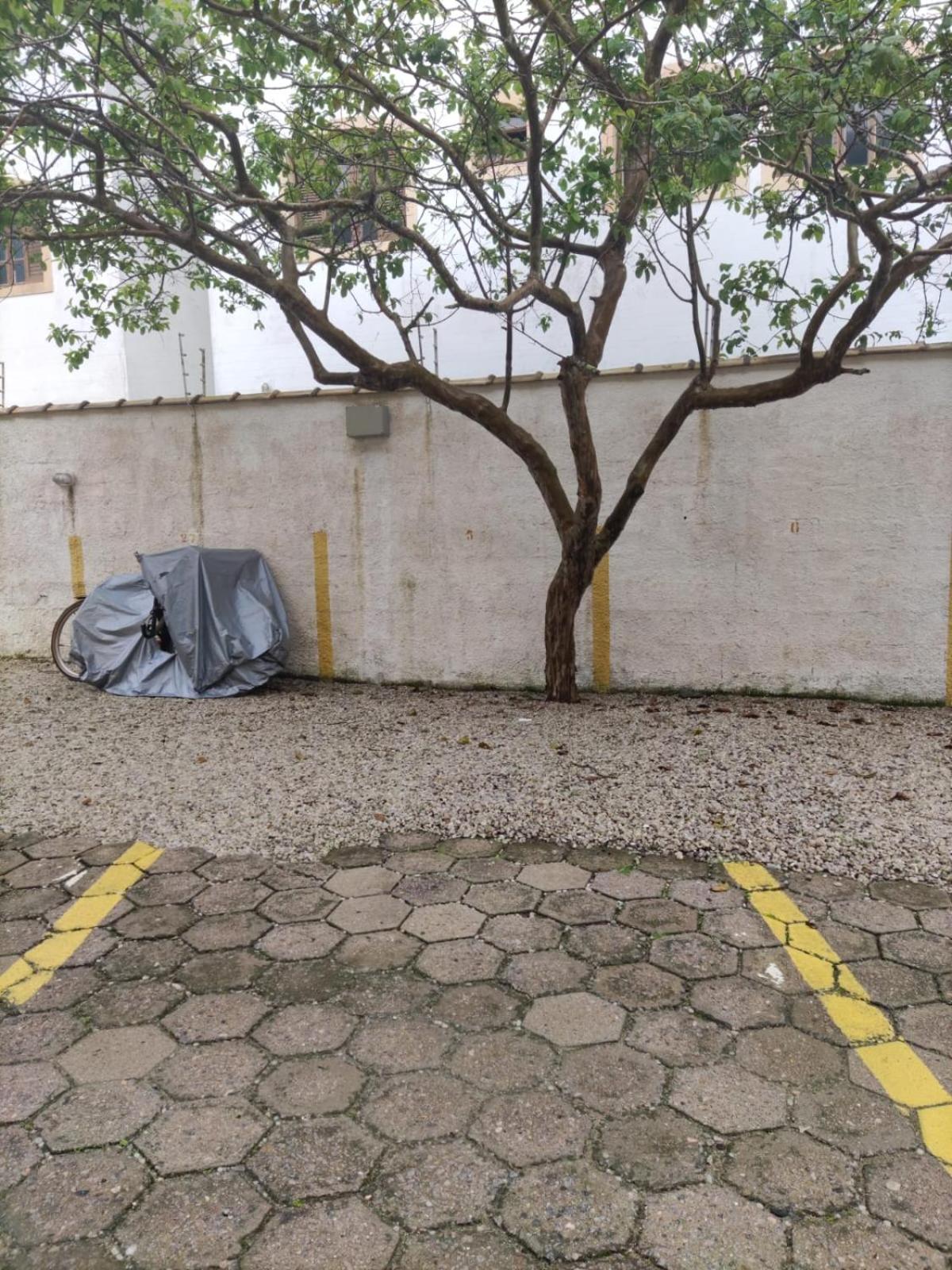 Apartamento aconchegante e espaçoso no Itaguá.