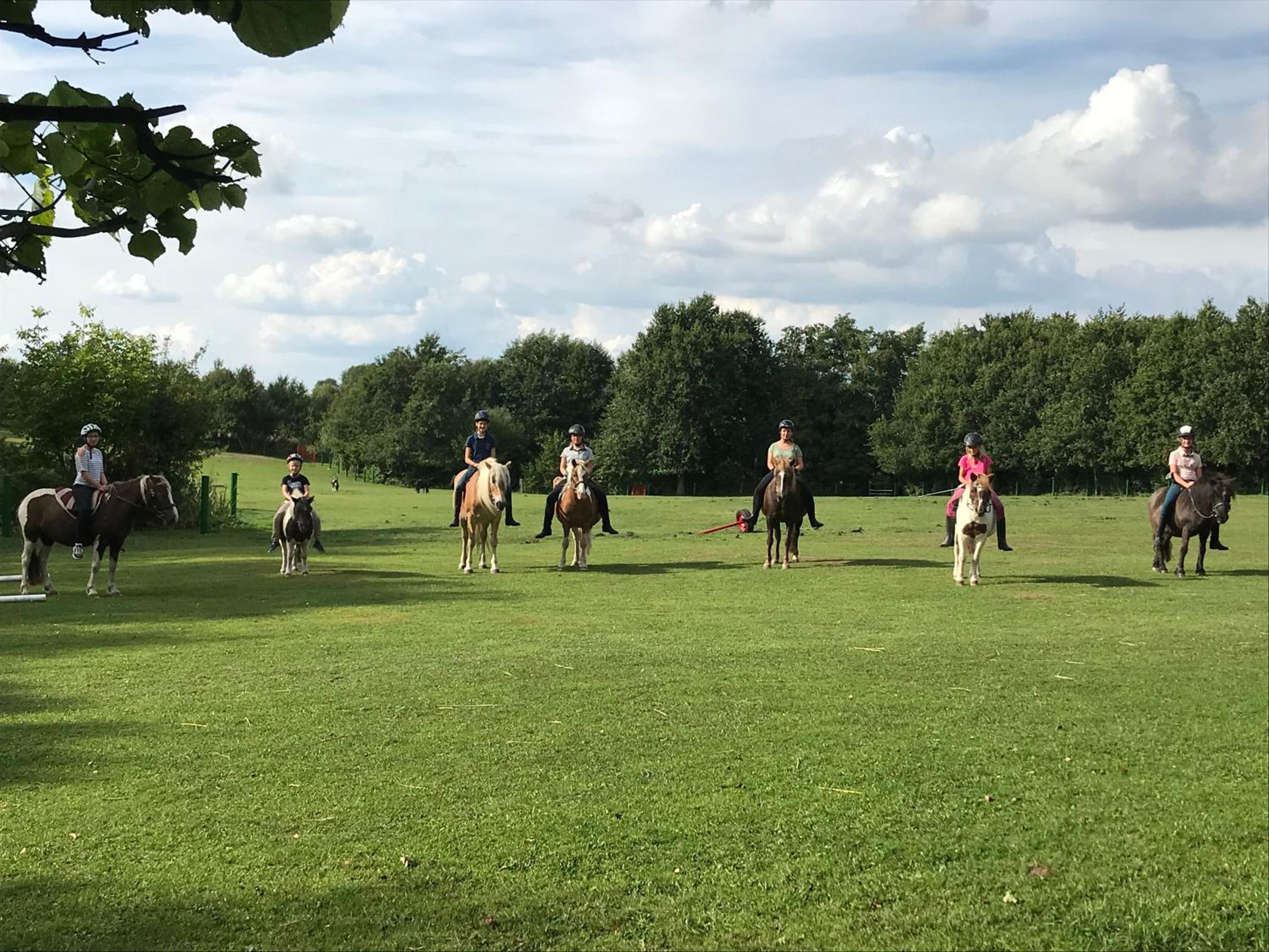 4 Sterne Ferienwohnung Ostsee auf dem Ferienhof Röhling