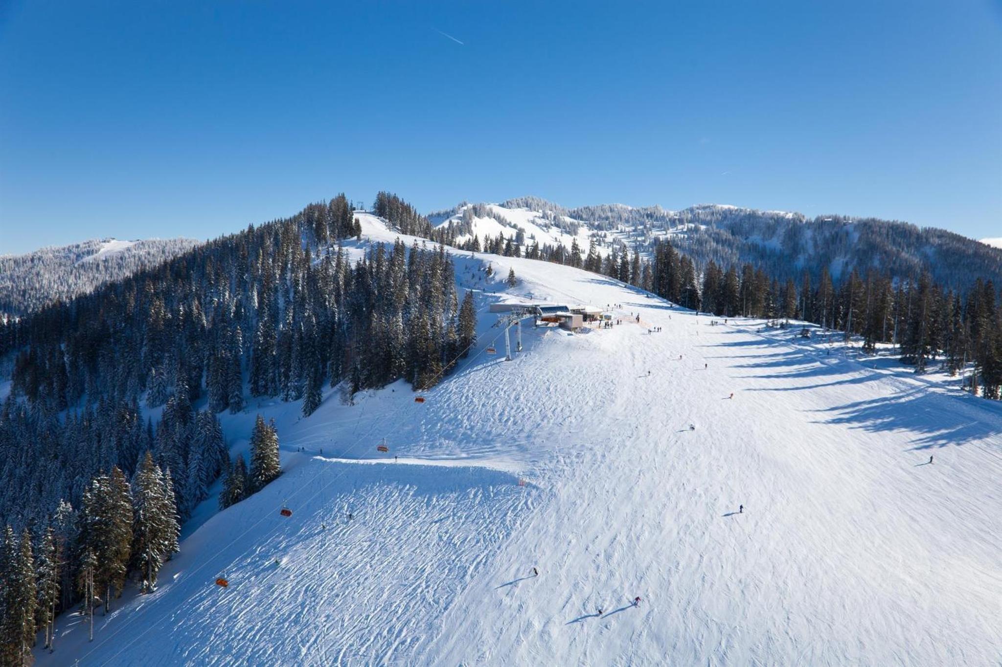 Leni`s Mountain Appartements