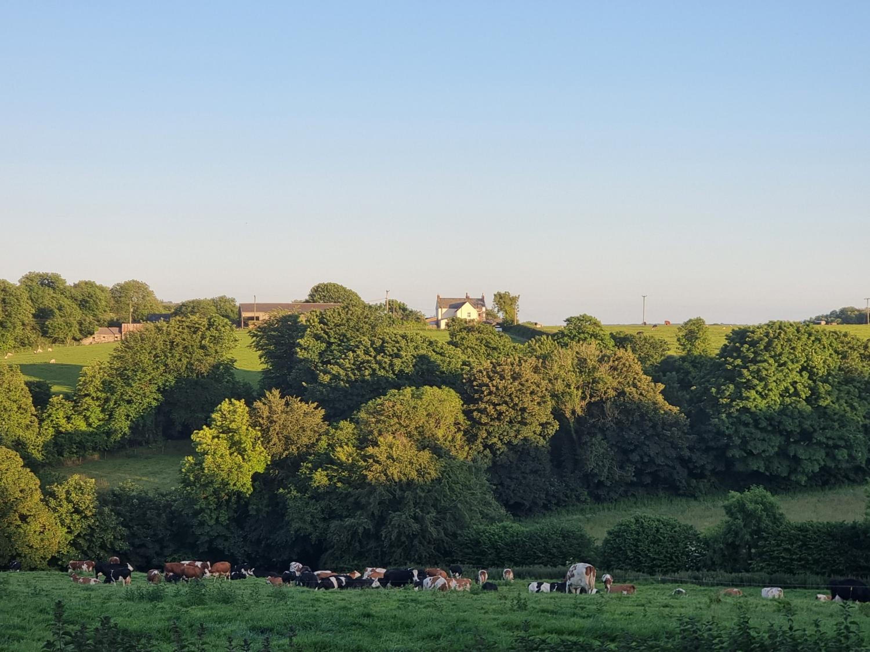 The Old Farmhouse