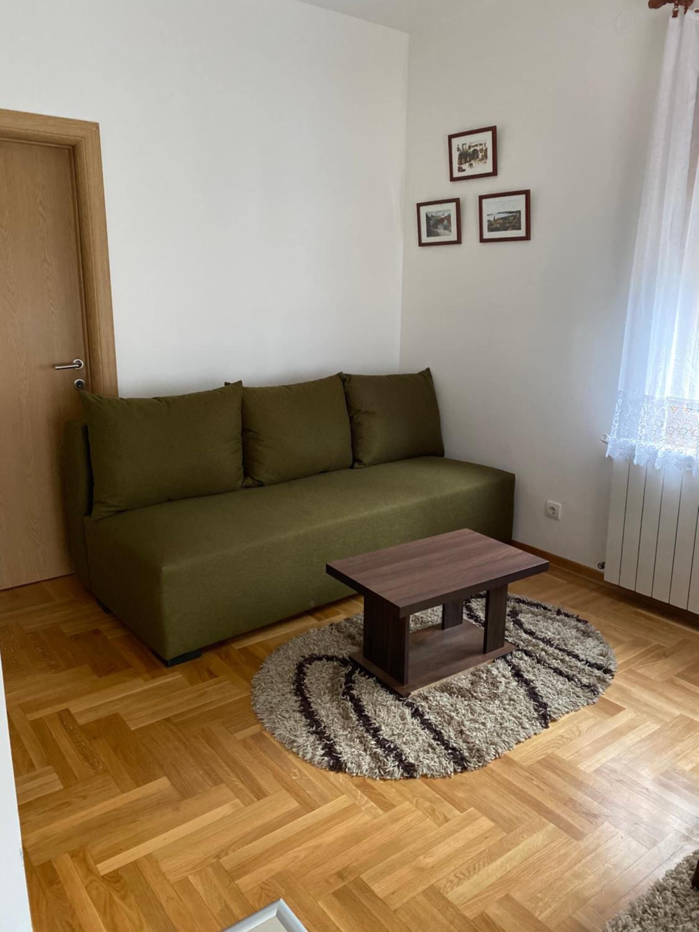 Apartman Rajkovic view 4