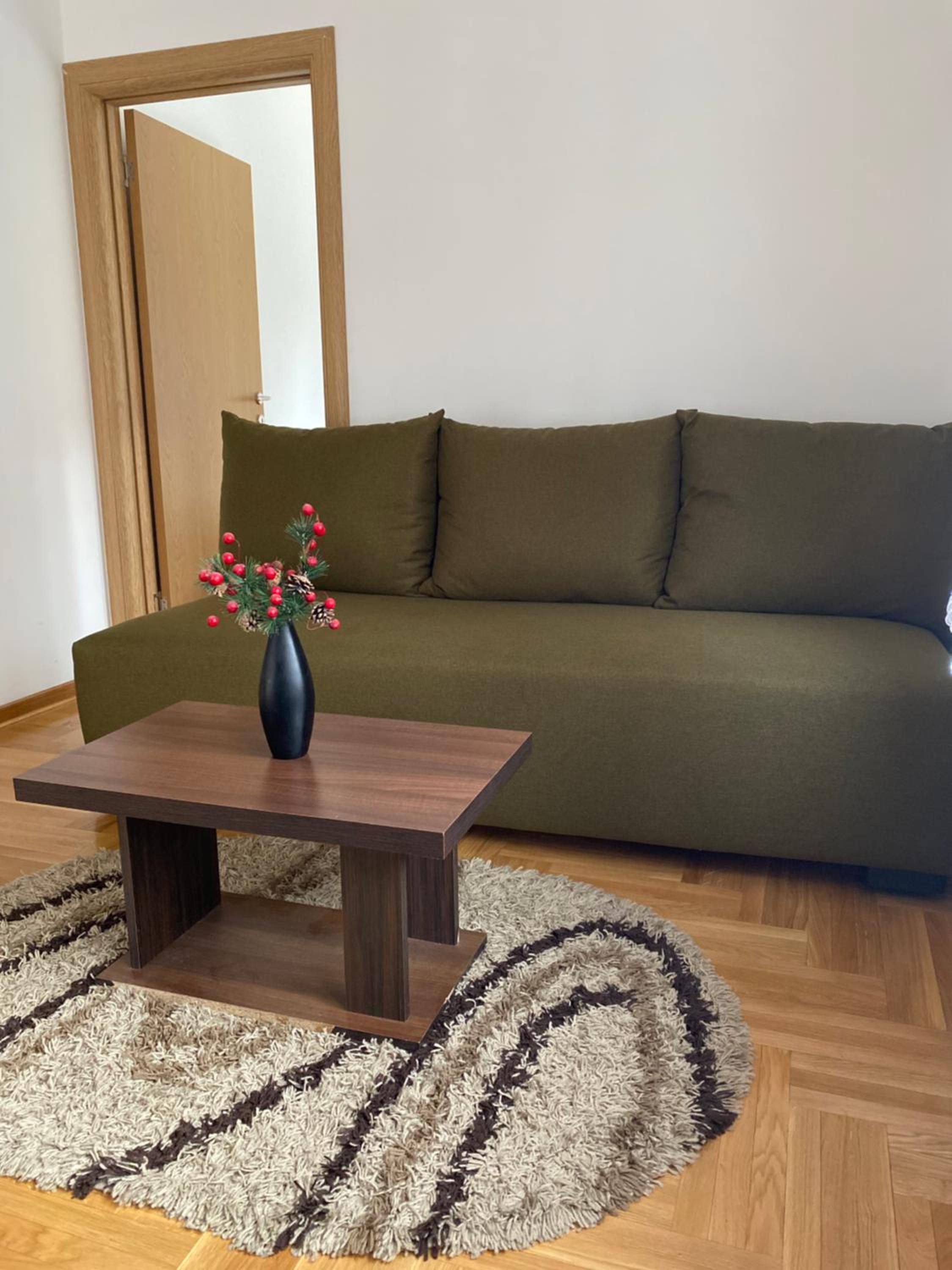 Apartman Rajkovic view 3