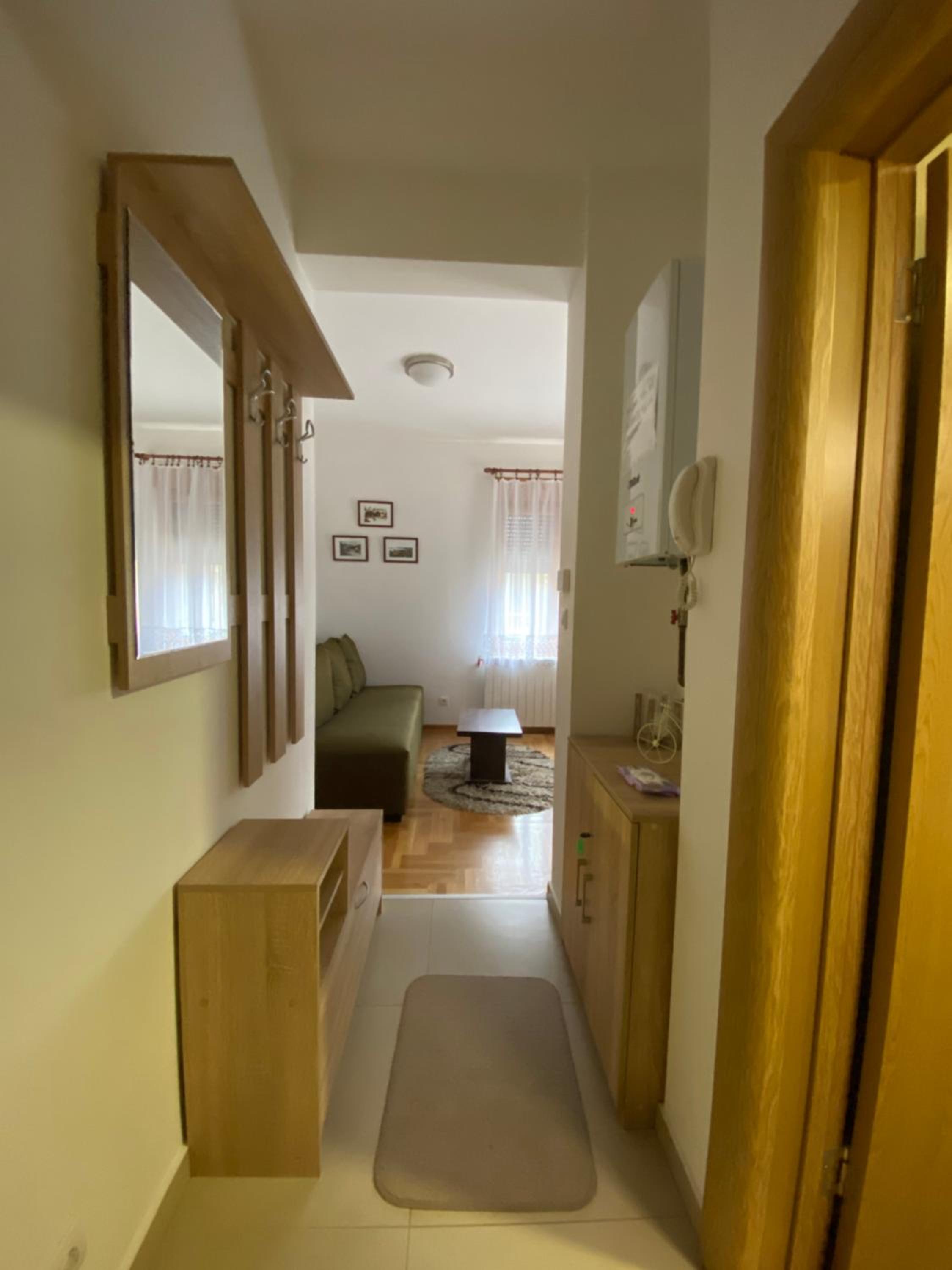Apartman Rajkovic view 2