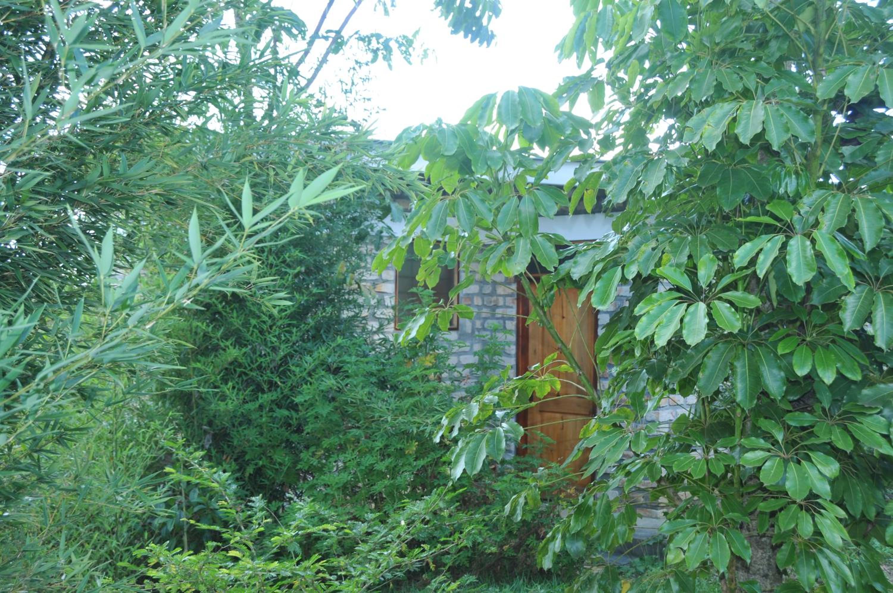 Photo 43
