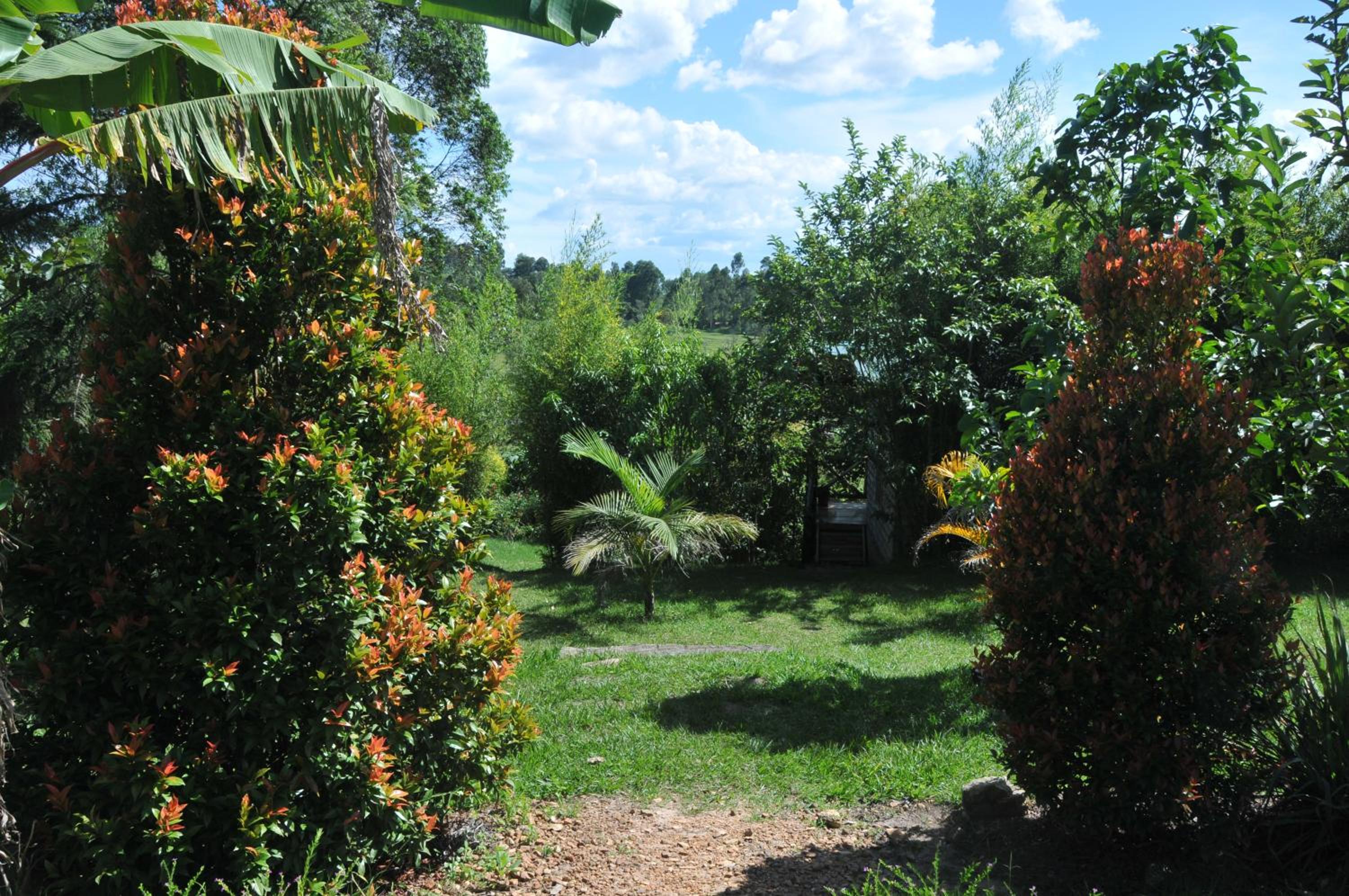 Photo 49