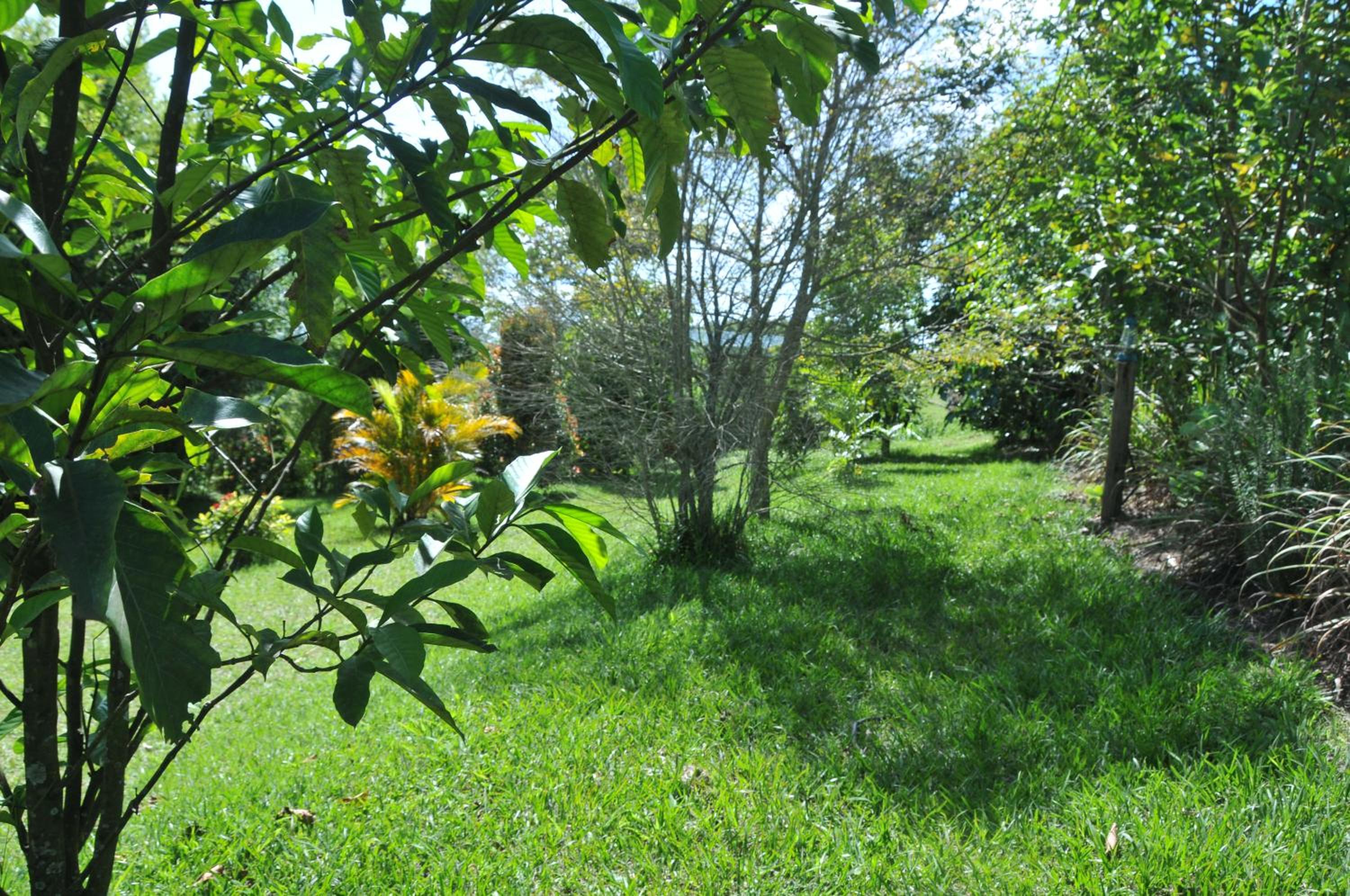 Photo 50