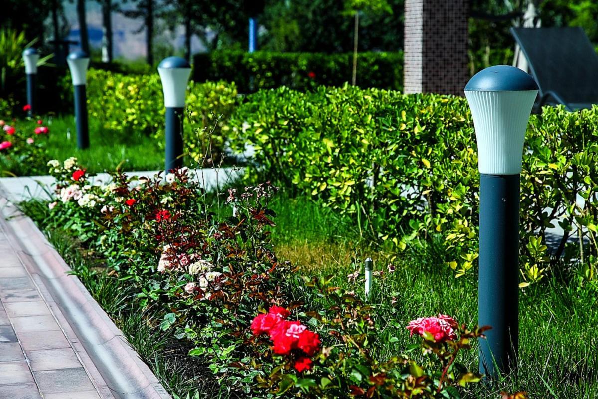 garden
