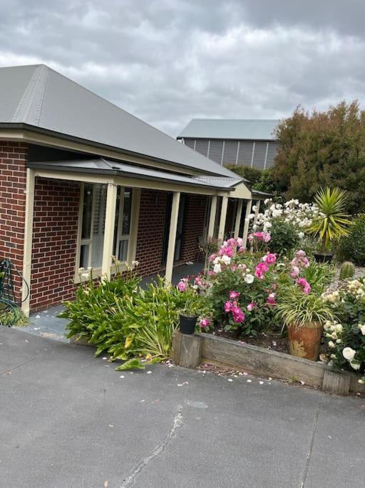 Quiet family retreat getaway - Wildlife Park, Sovereign Hill, Kryall Castle and city at your door - modern house, 8 guests, 4 bedrooms, 5 beds
