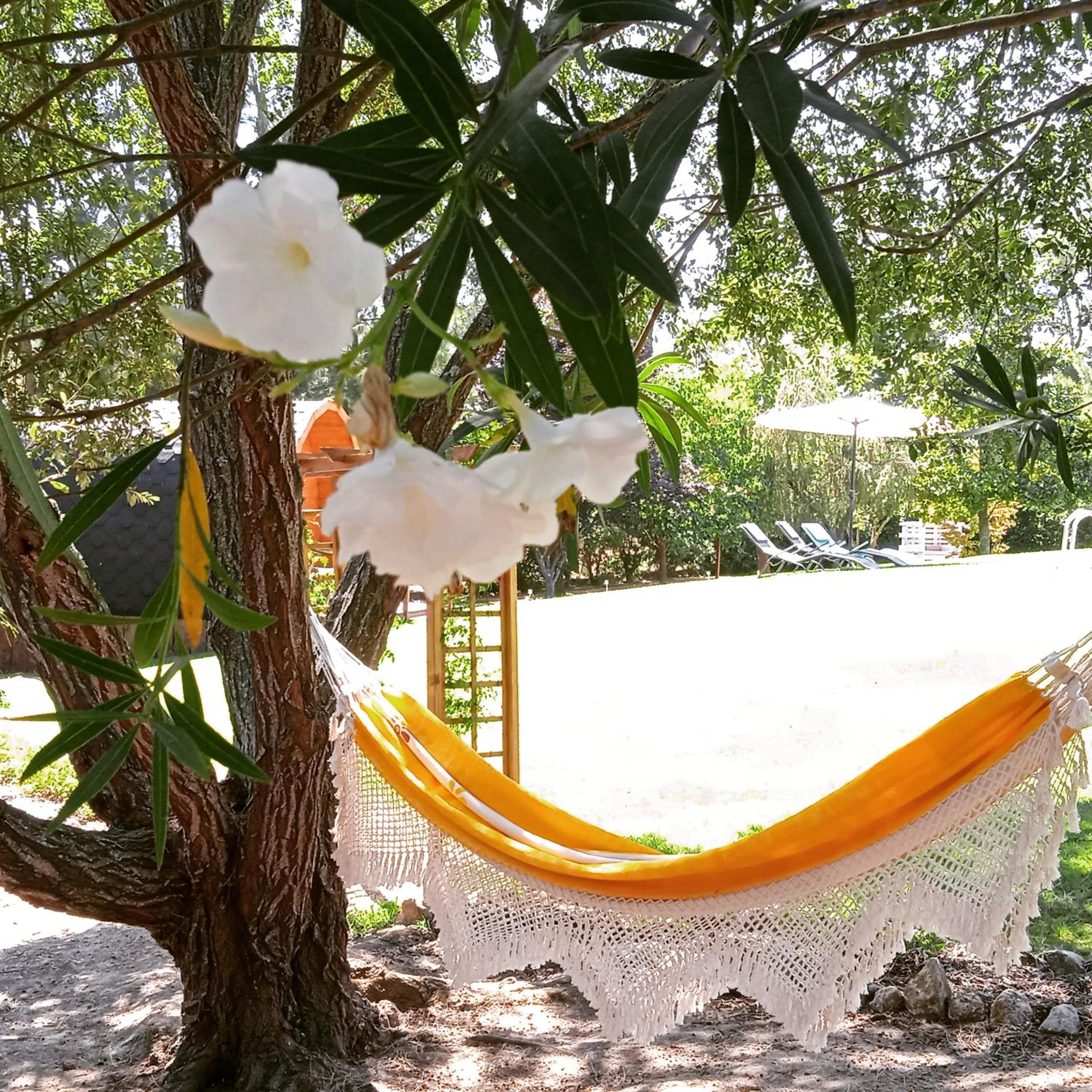 Alfaro'95 en Azambuja — activities & amenities