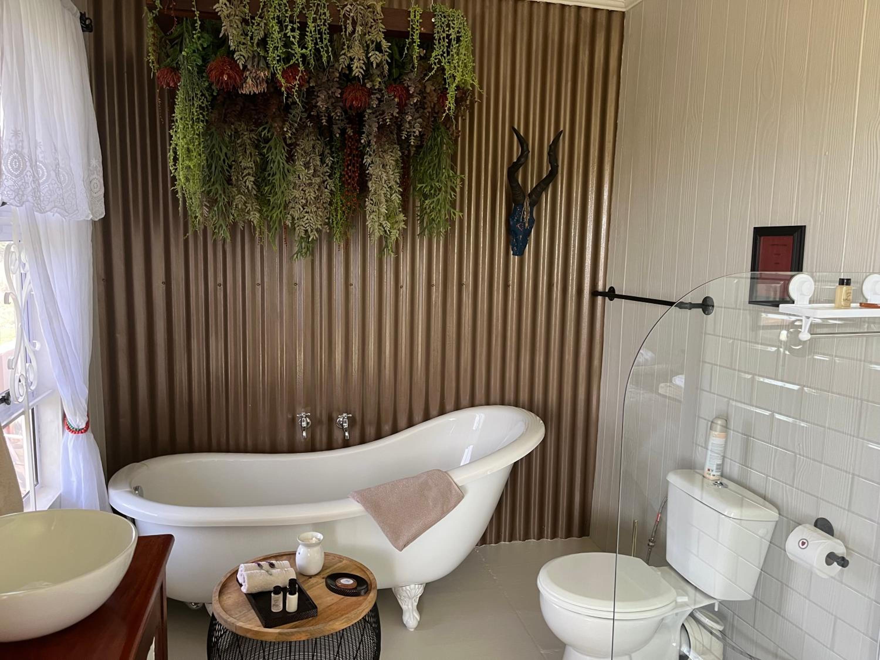 Motubane Guest Farm