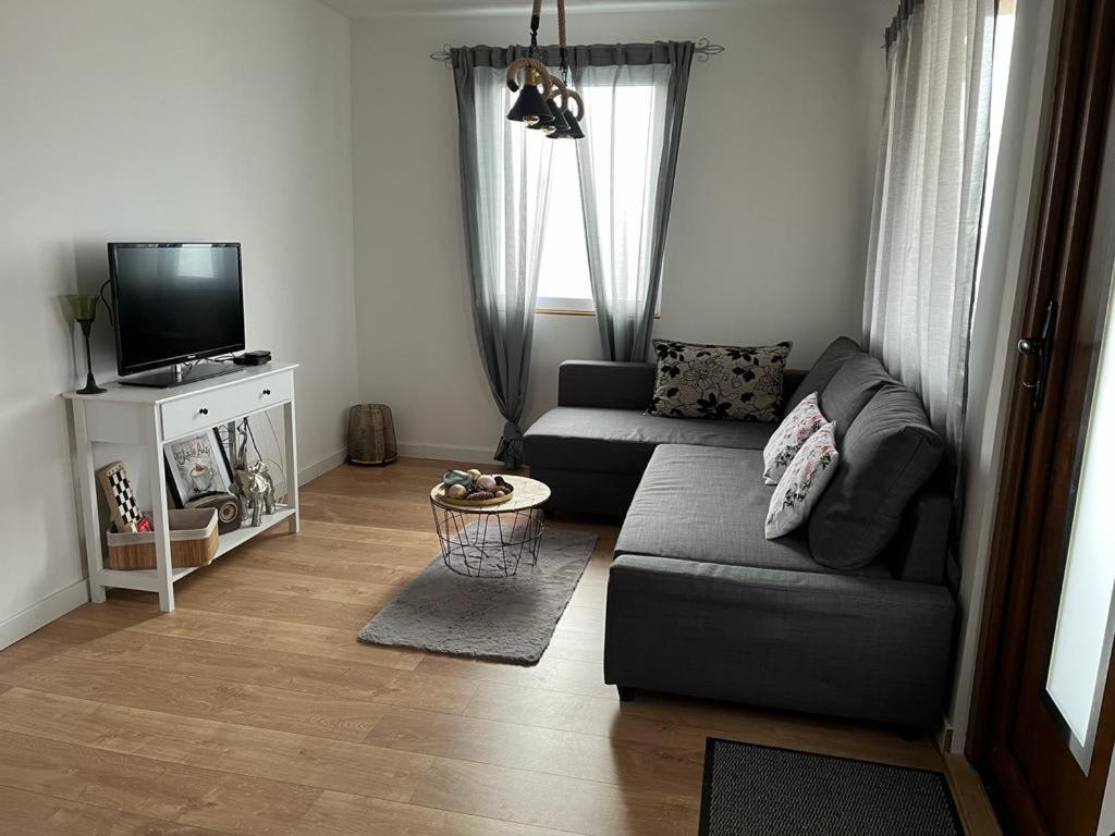 Vila Xenos Loft Karakter Zlatibor view 5