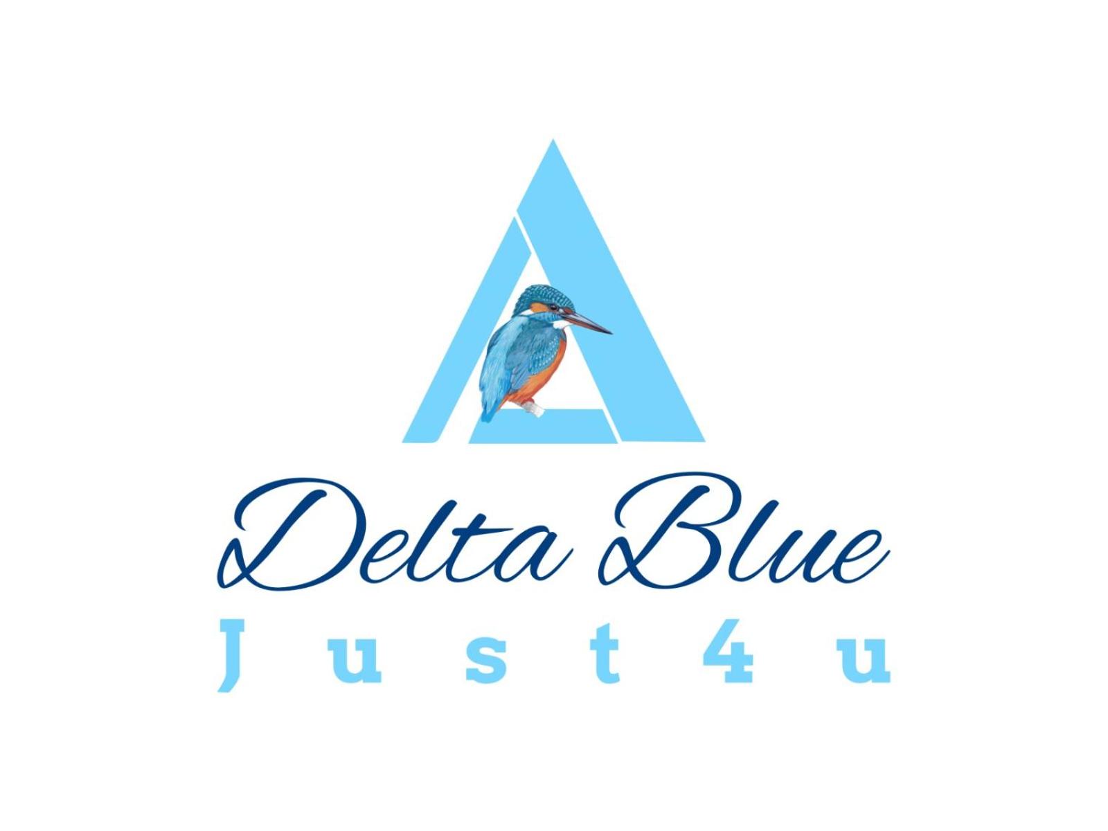 Pensiunea Delta Blue view 2