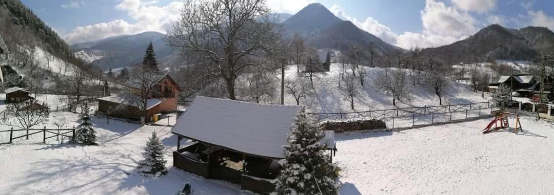 Cabana Valea Sadului