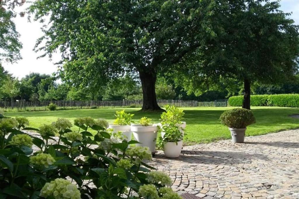 Country house Clos des hortensias