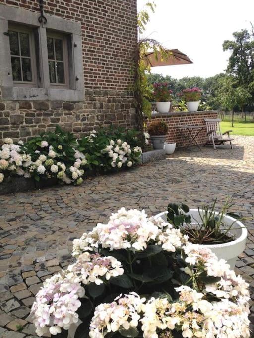 Country house Clos des hortensias