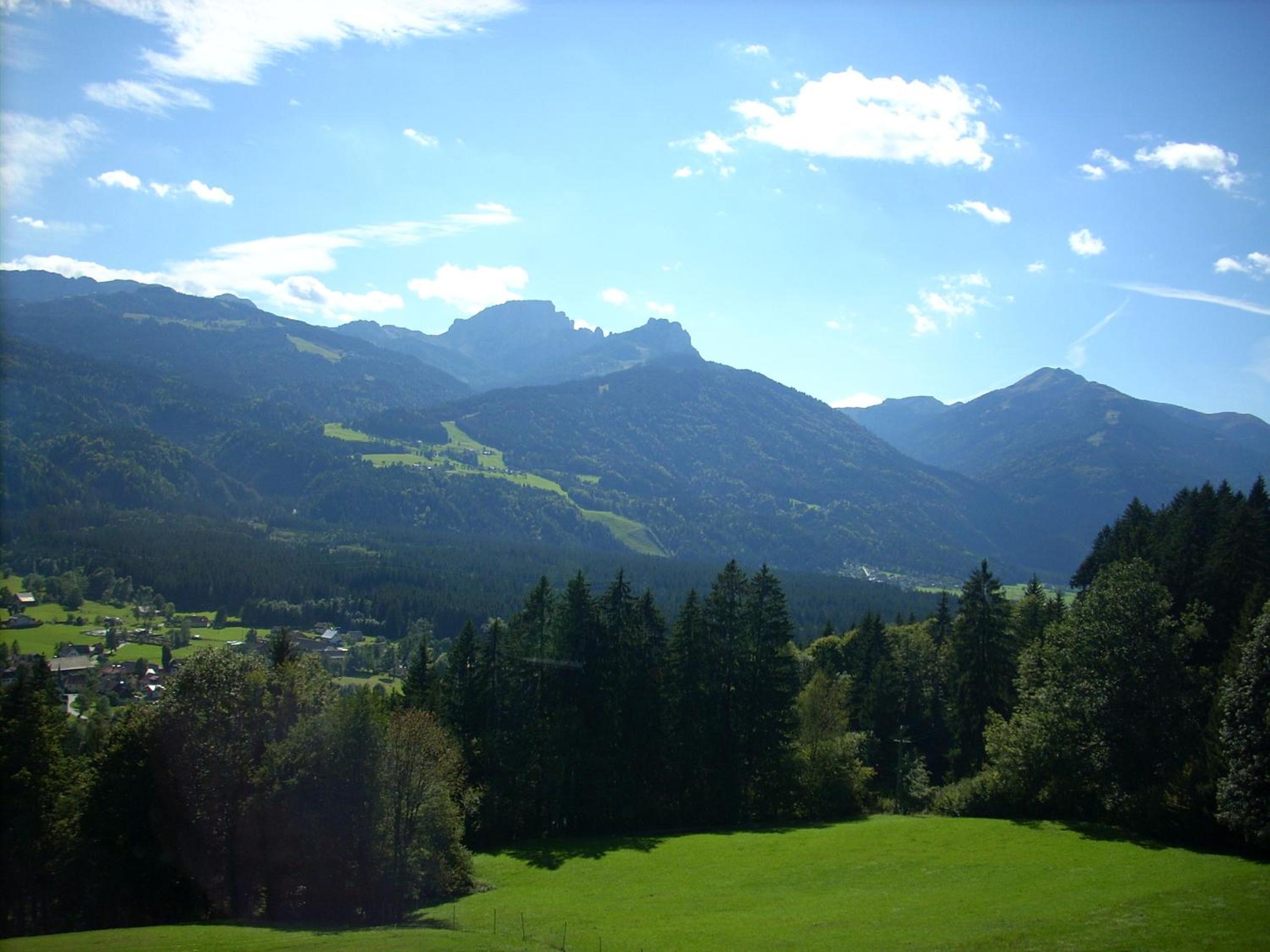 Photo 41