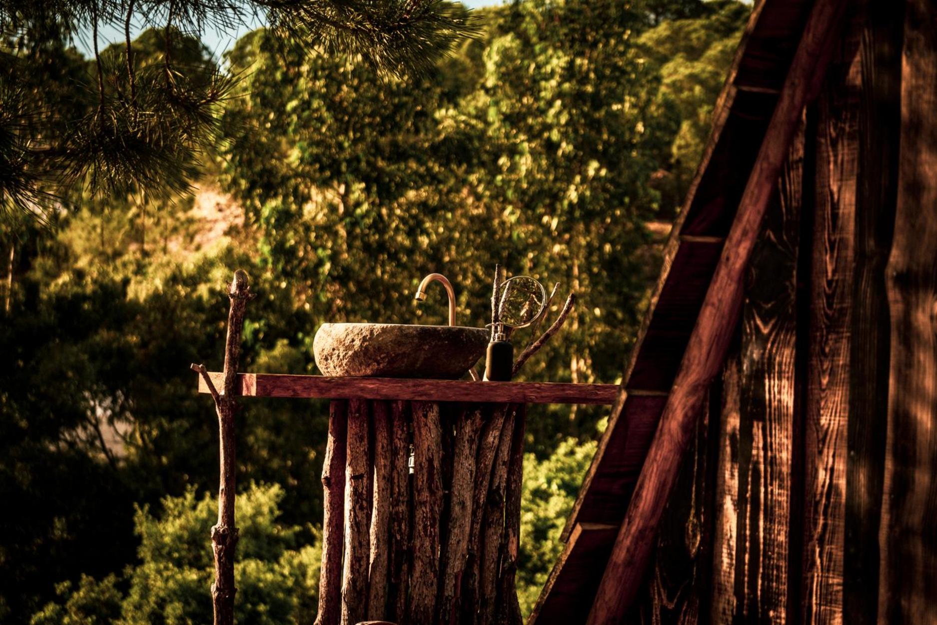 Quinta Alma - Ecological Retreat Farm, photo 104