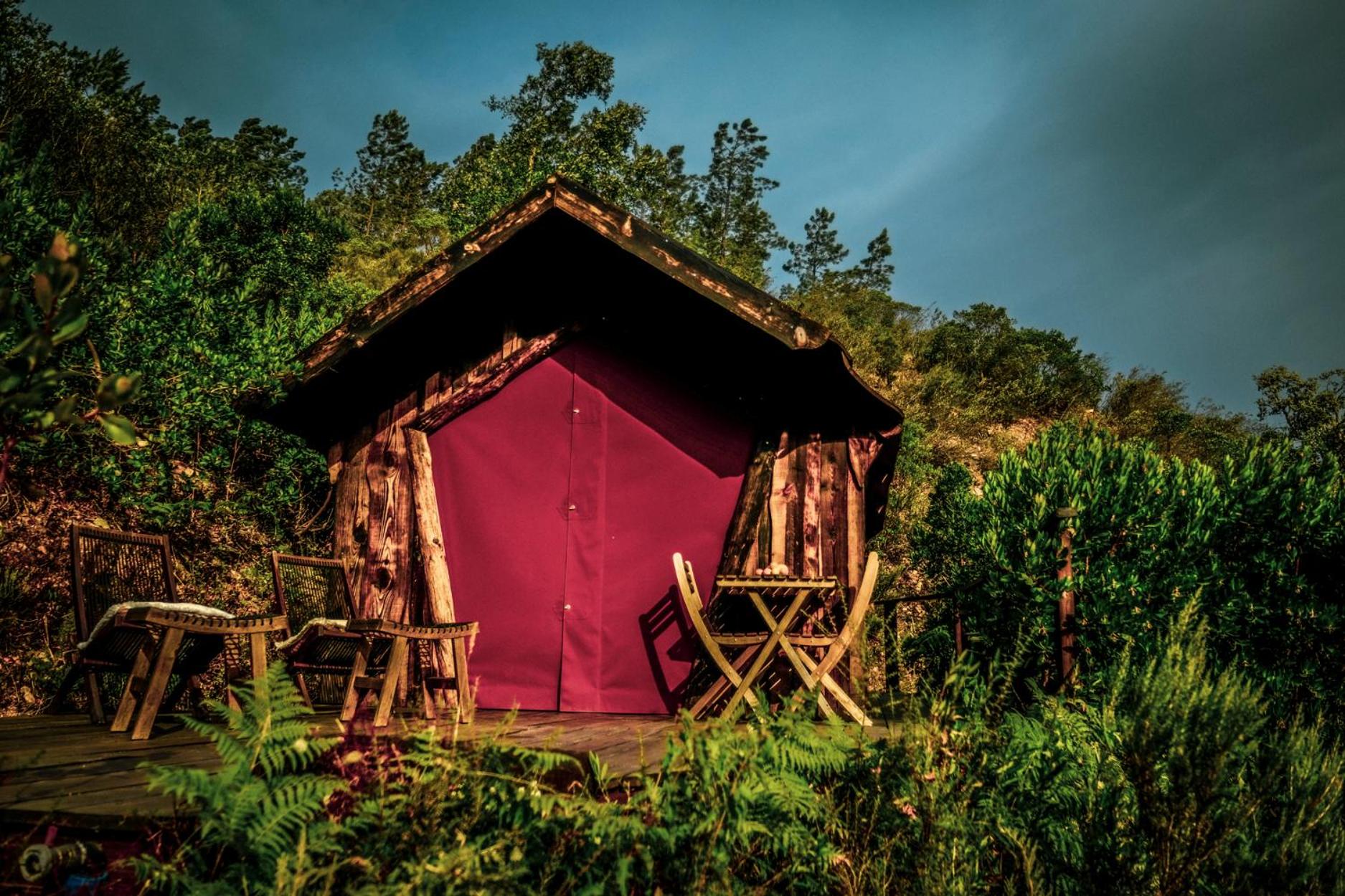 Quinta Alma - Ecological Retreat Farm, photo 114