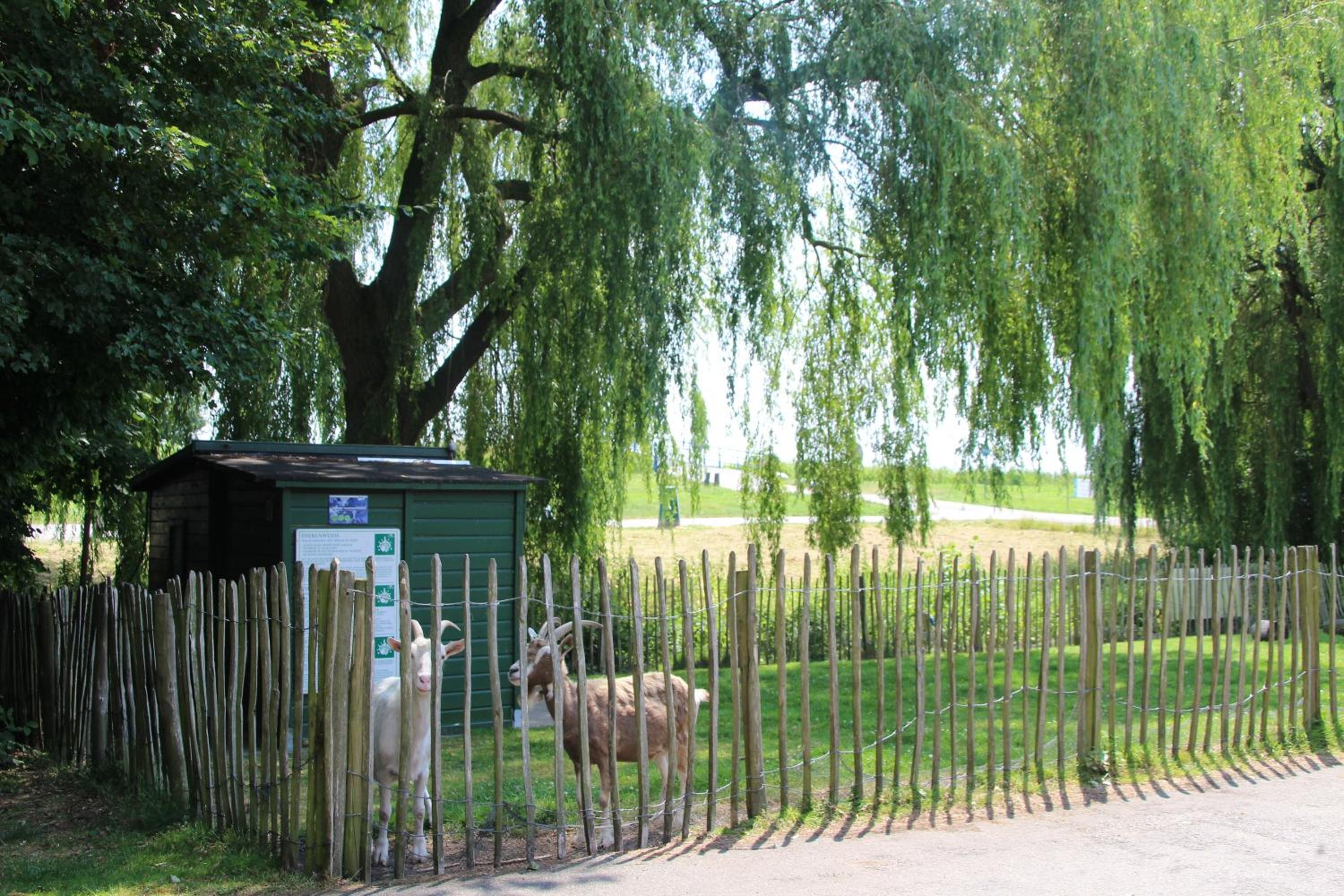 Photo 48